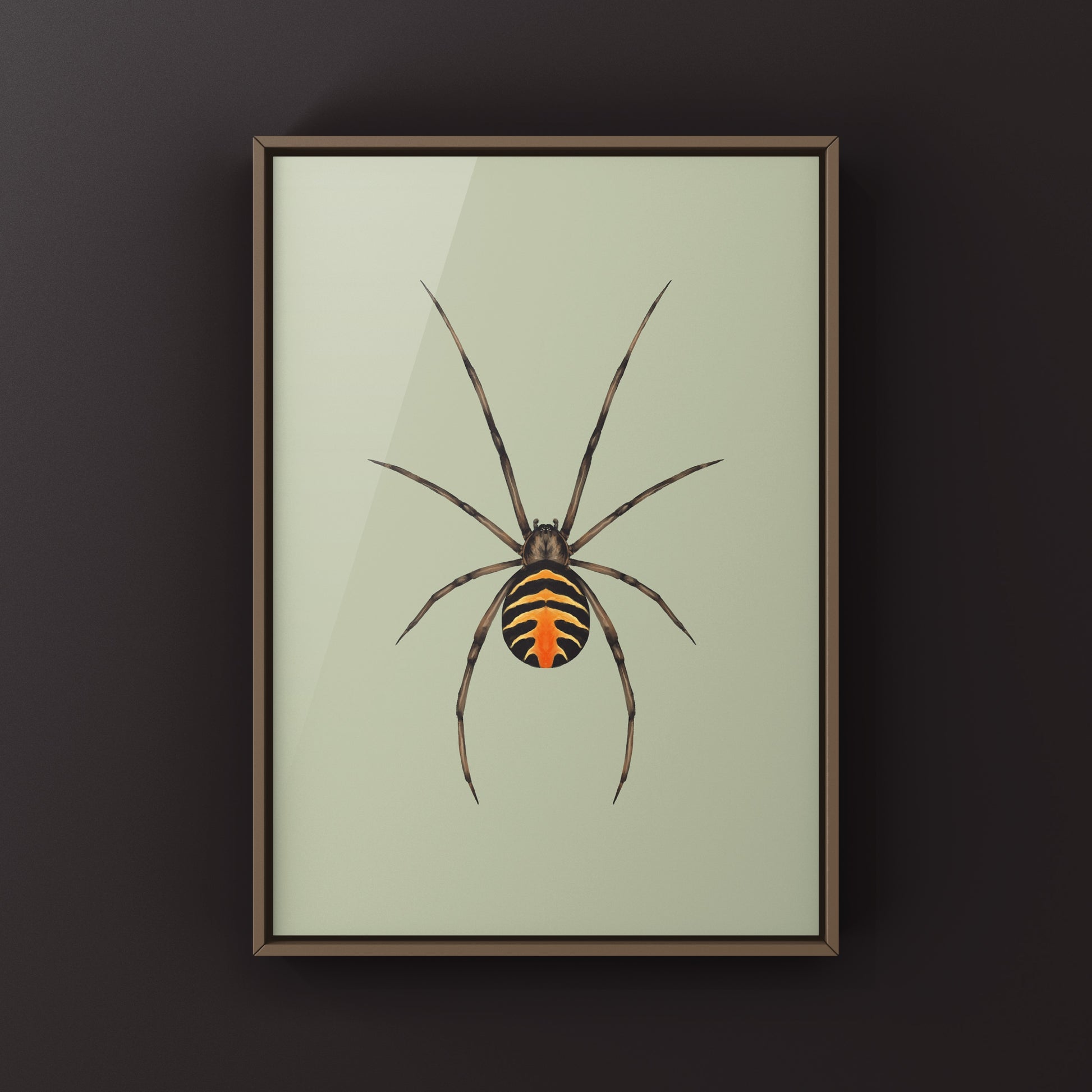 Art print of a Hellfire Widow (Latrodectus exlaos) spider by The Silk Ranch, showcasing detailed illustration of the black widow spider.