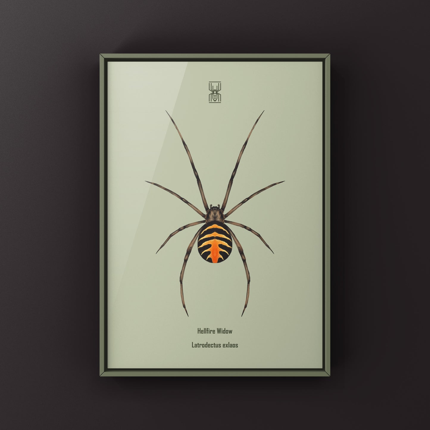 Art print of a Hellfire Widow spider (Latrodectus exlaos) showcasing its detailed black and red body, created by The Silk Ranch.