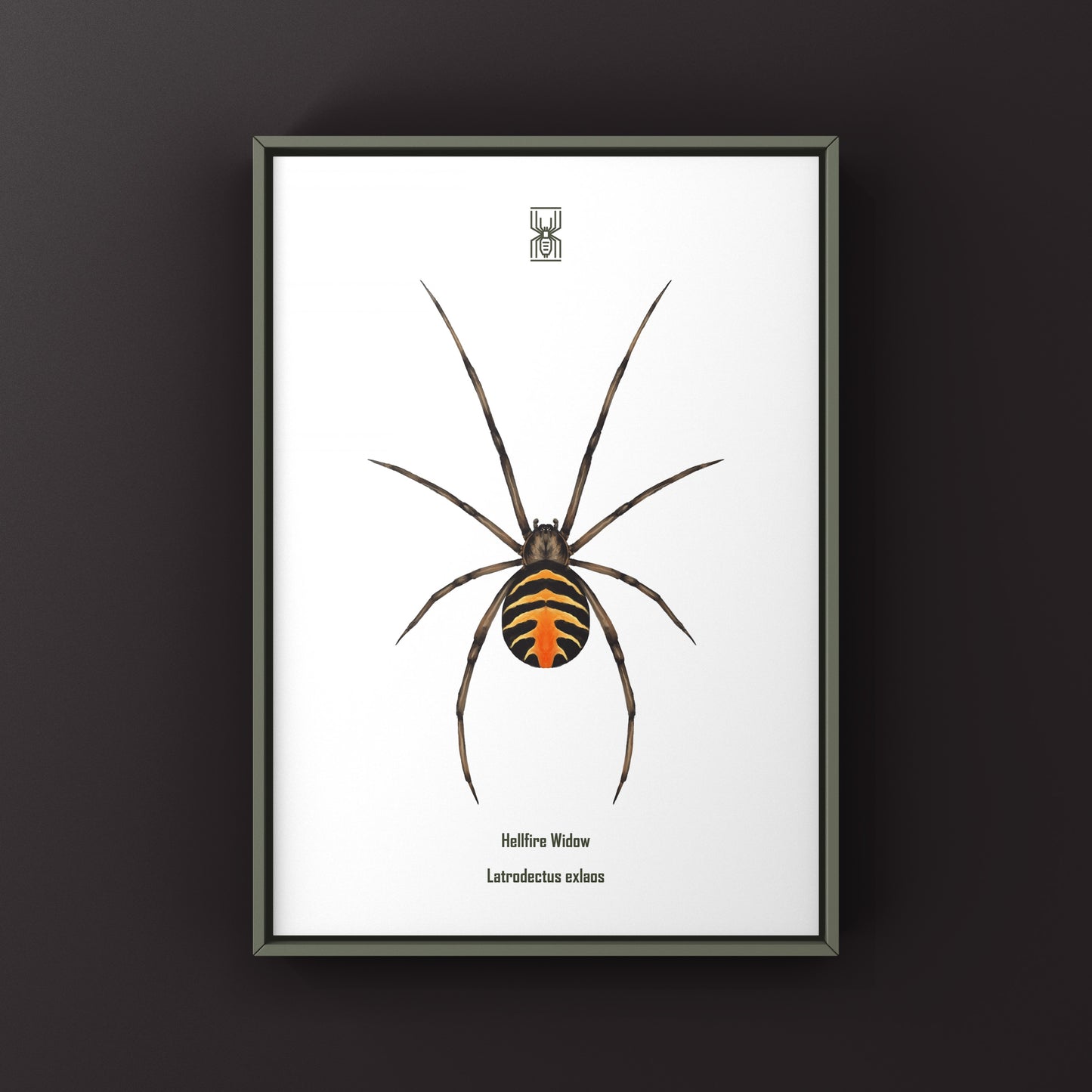 Hellfire Widow art print by The Silk Ranch featuring a detailed illustration of the Latrodectus exlaos spider on textured paper.