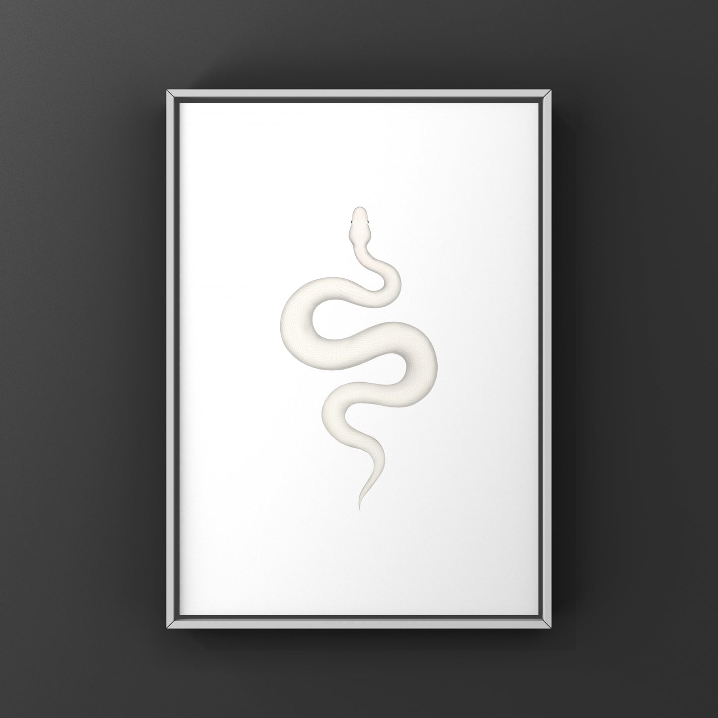 Super Russo Ball Python art print by The Silk Ranch featuring detailed illustration of a Python regius ball python.