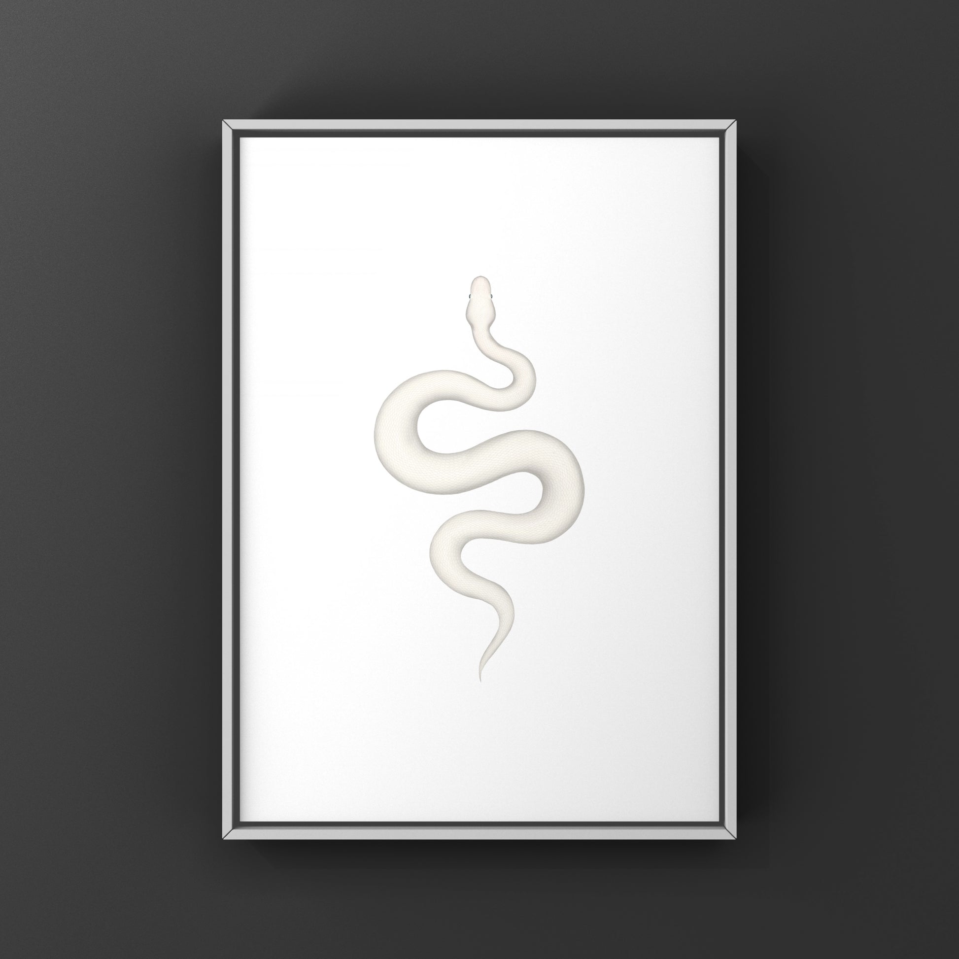 Super Russo Ball Python art print by The Silk Ranch featuring detailed illustration of a Python regius ball python.