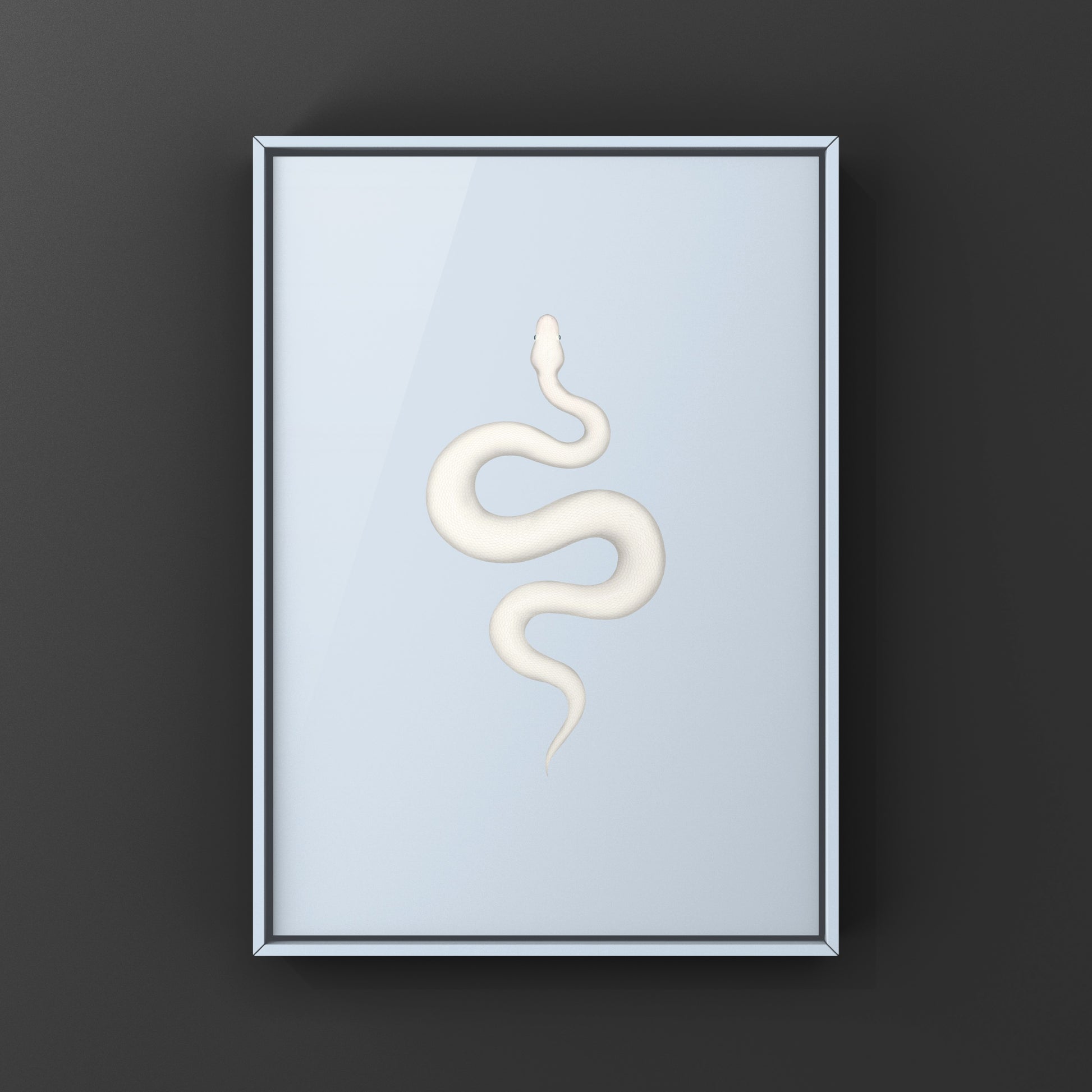Super Russo Ball Python art print by The Silk Ranch featuring detailed illustration of a ball python on white background.