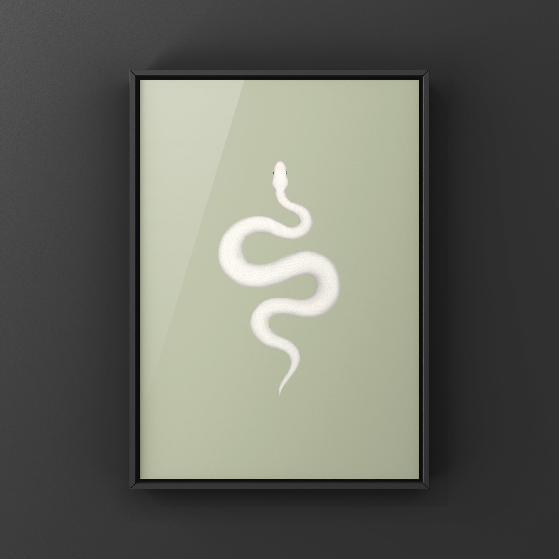 Super Russo Ball Python art print by The Silk Ranch showing detailed image of a ball python coiled on a neutral background.
