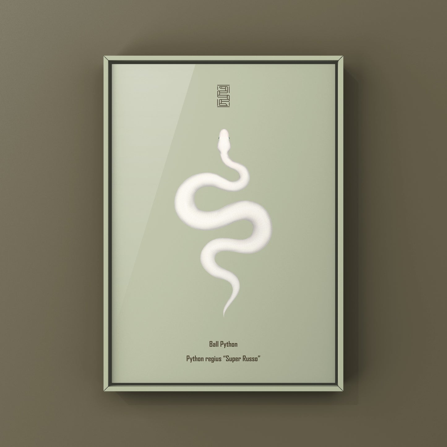 Super Russo Ball Python art print by The Silk Ranch showing detailed illustration of a ball python coiled on a neutral background.