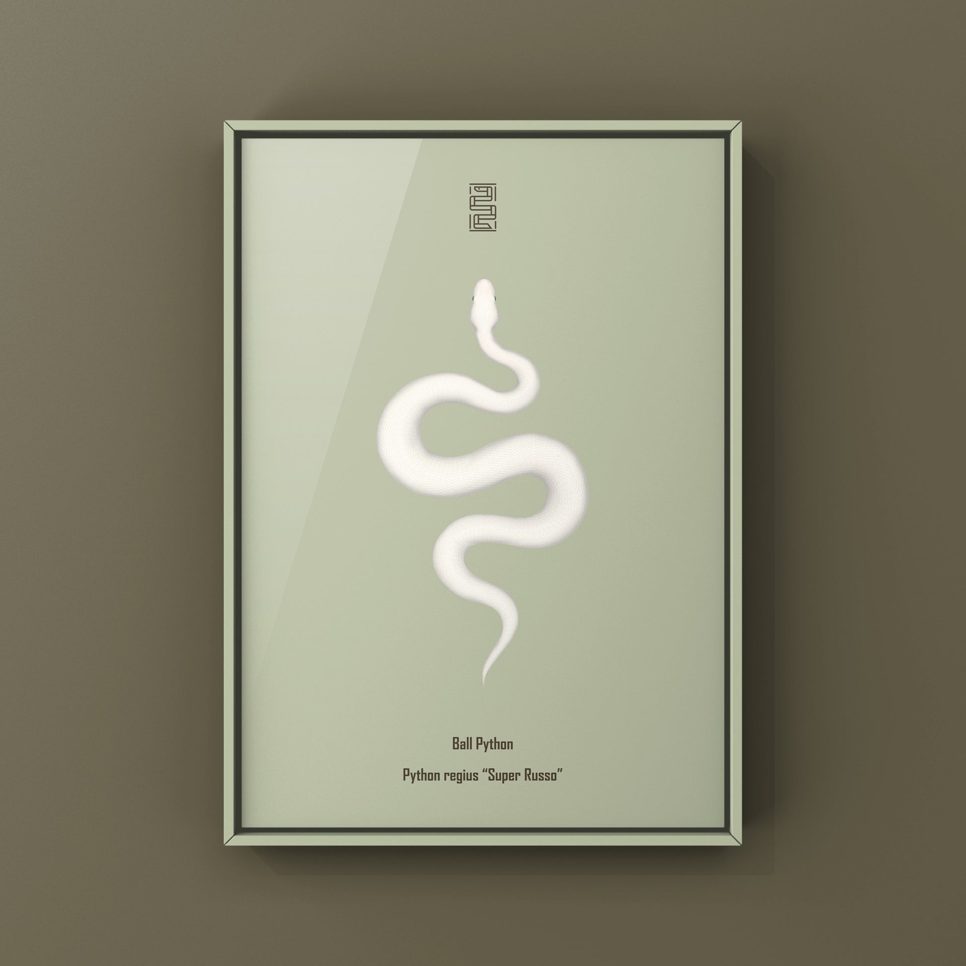 Super Russo Ball Python art print by The Silk Ranch showing detailed illustration of a ball python coiled on a neutral background.