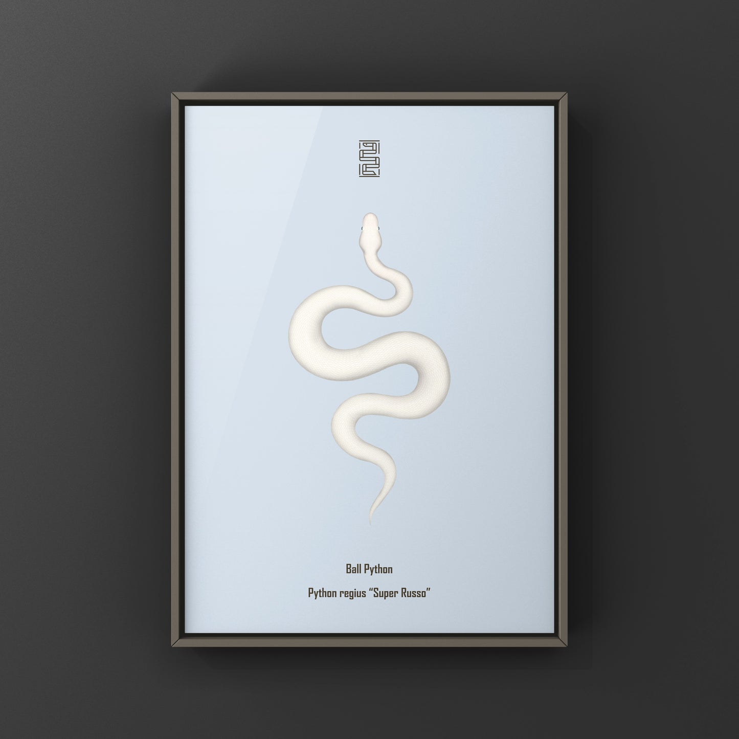 Super Russo Ball Python art print by The Silk Ranch featuring detailed illustration of a Python regius snake on textured paper.