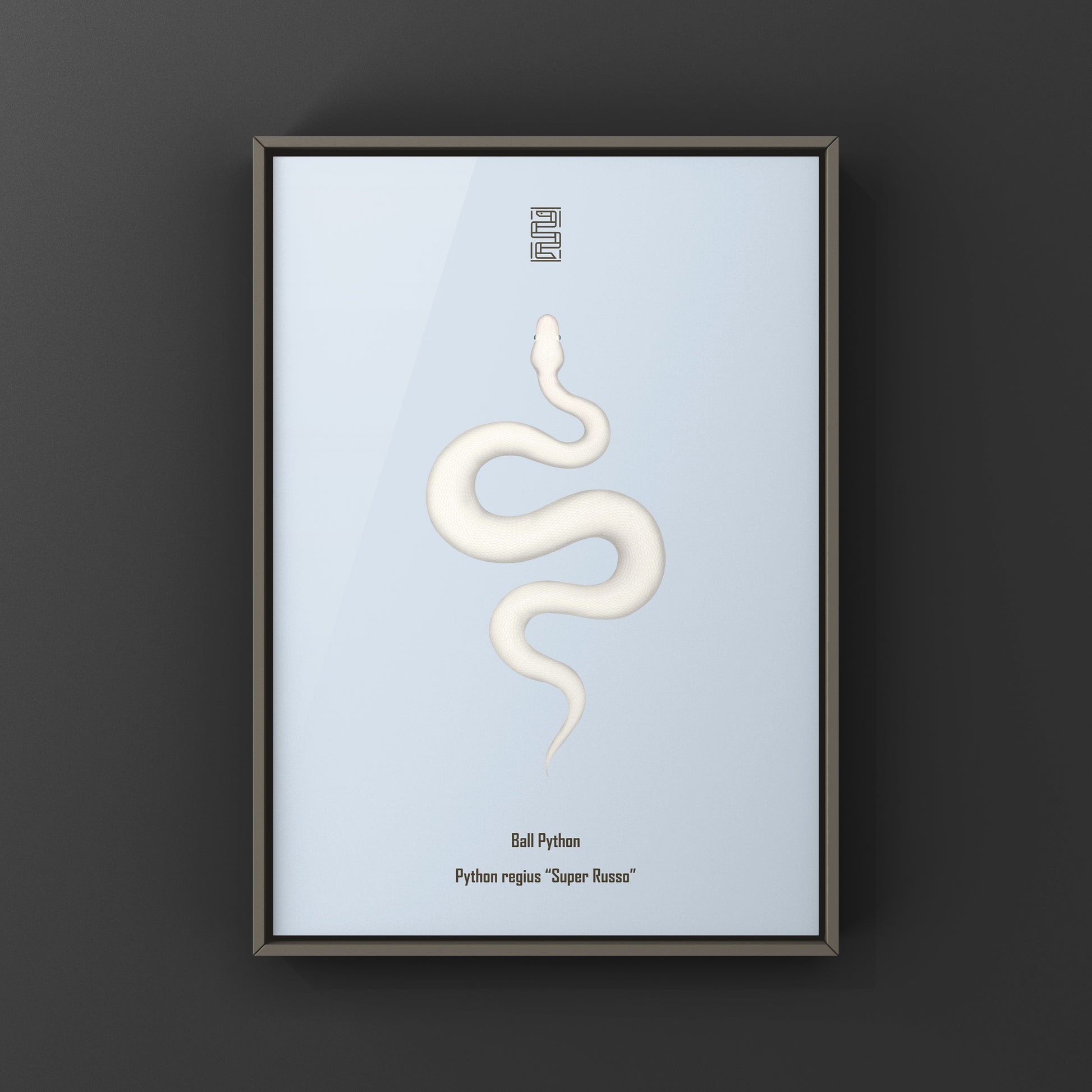 Super Russo Ball Python art print by The Silk Ranch featuring detailed illustration of a Python regius snake on textured paper.