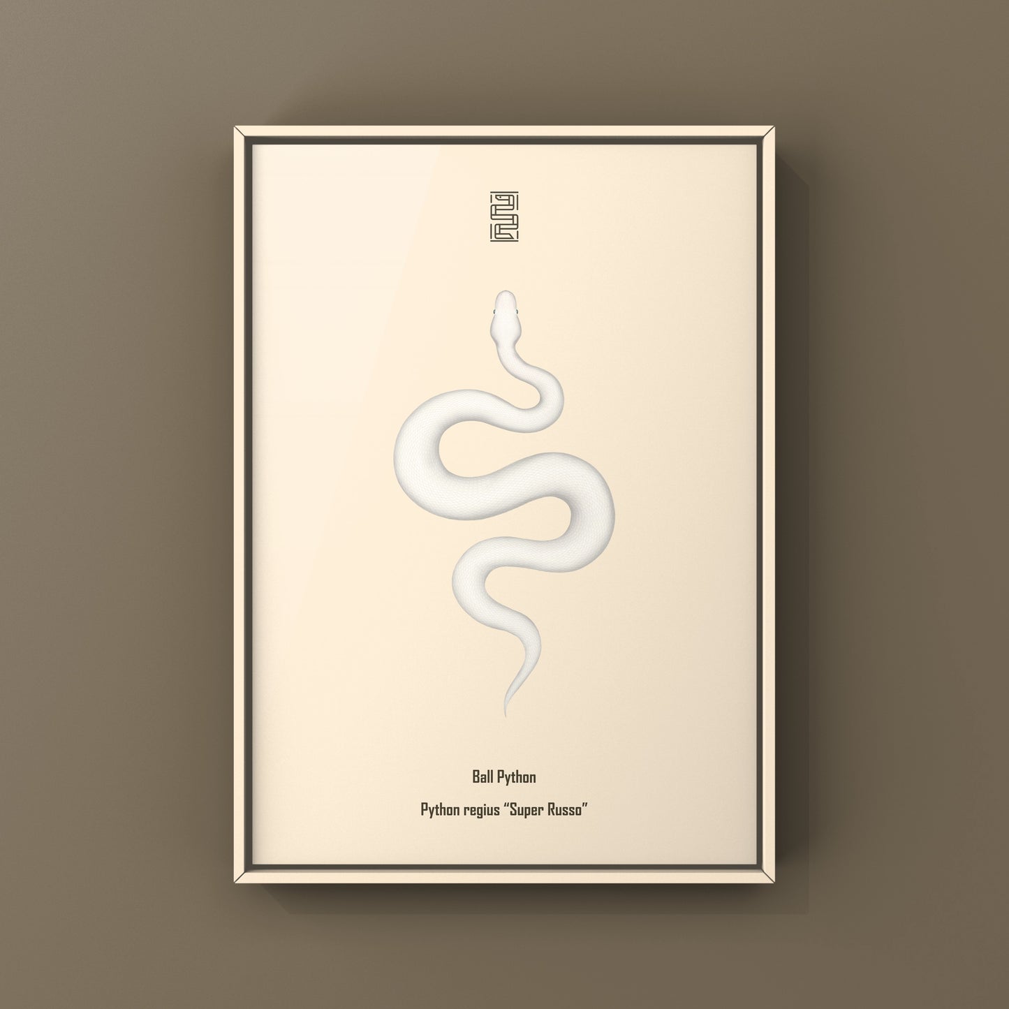 Super Russo Ball Python art print by The Silk Ranch featuring detailed illustration of a Python regius in natural colors.