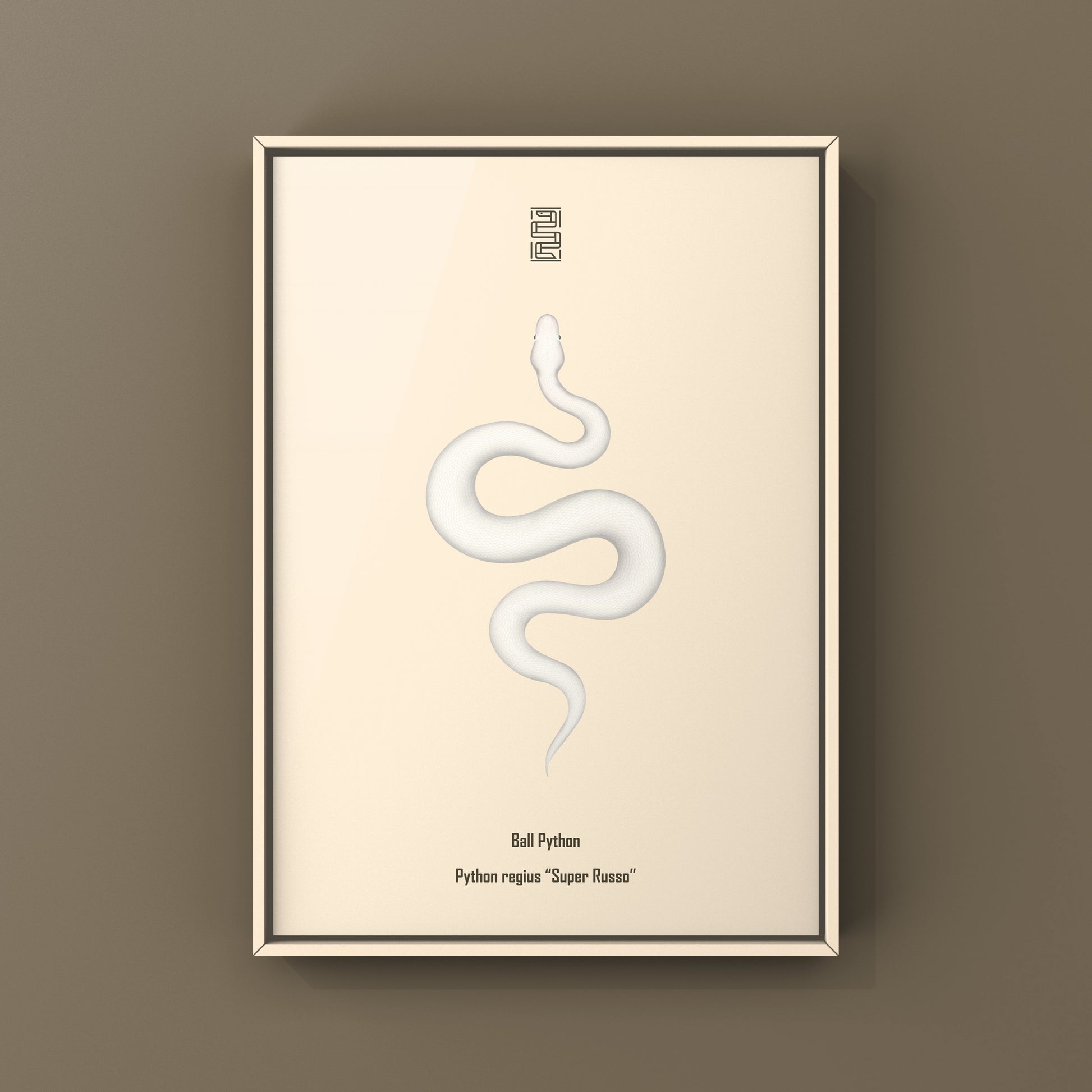 Super Russo Ball Python art print by The Silk Ranch featuring detailed illustration of a Python regius in natural colors.