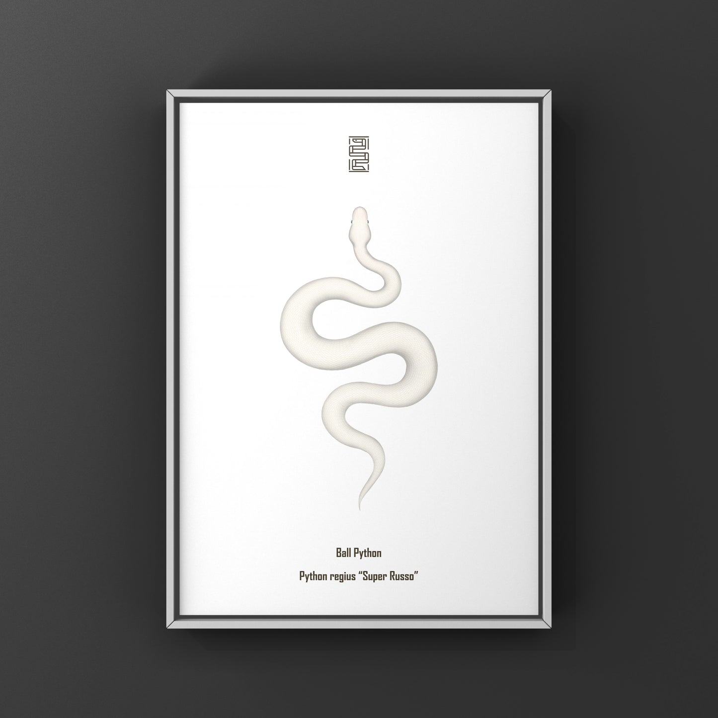 Colorful Super Russo Ball Python art print by The Silk Ranch featuring vibrant snake illustrations on high-quality paper.