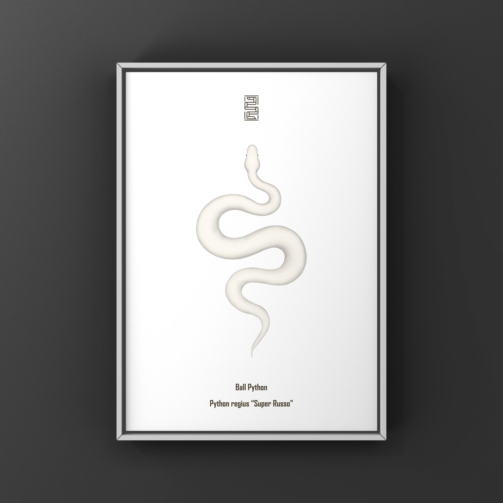 Colorful Super Russo Ball Python art print by The Silk Ranch featuring vibrant snake illustrations on high-quality paper.