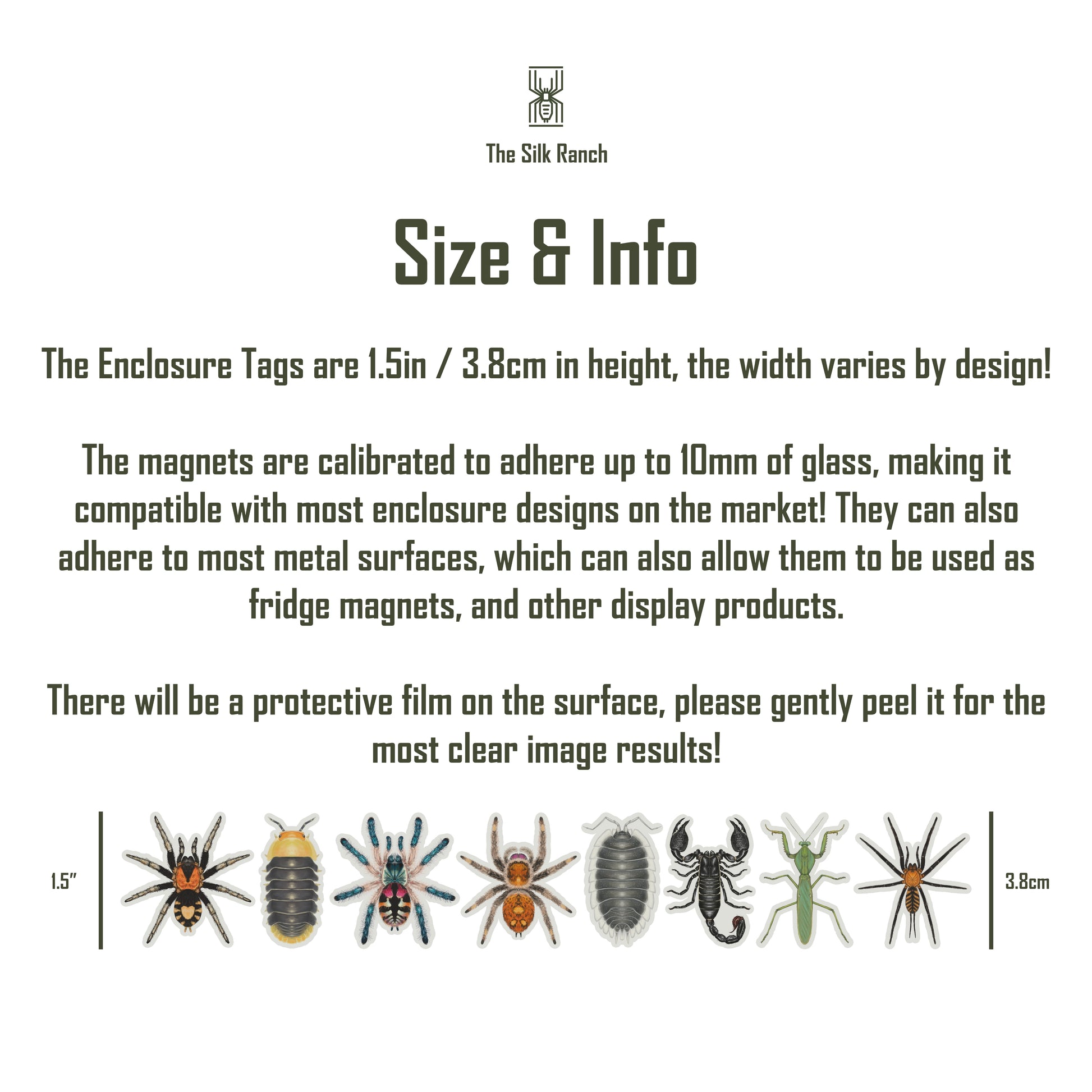 Burgundy Goliath Birdeater Tarantula Acrylic Magnet Enclosure Tag (Theraphosa stirmi) from The Silk Ranch / The Morph Archive