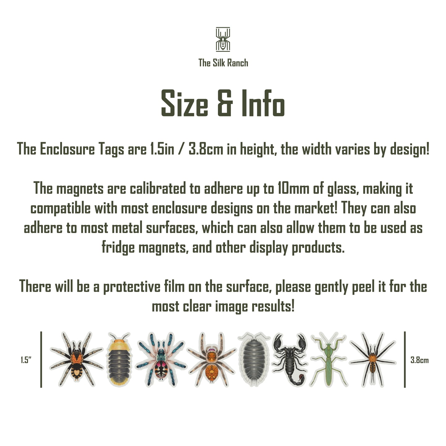 Mexican Fire Leg Tarantula Acrylic Magnet Enclosure Tag (Brachypelma boehmei) from The Silk Ranch / The Morph Archive