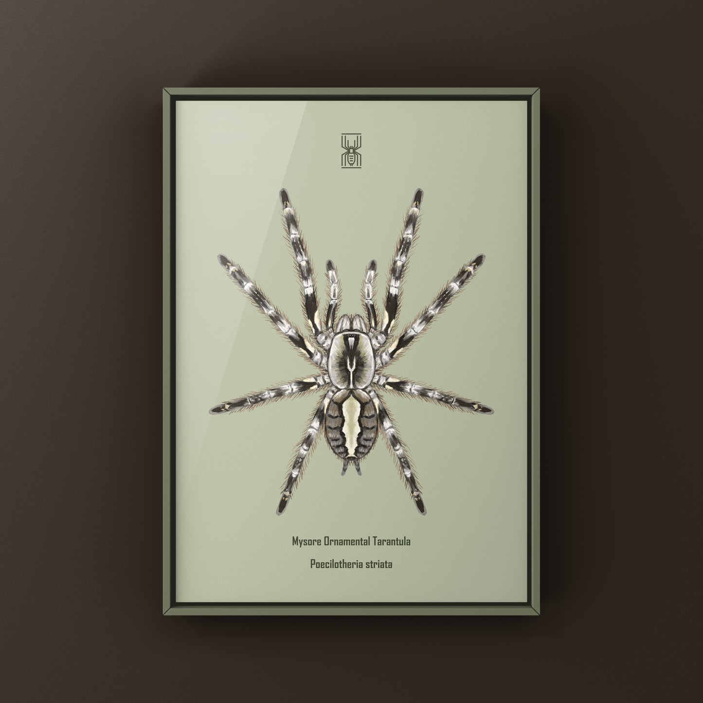 Decorative art print of a Mysore Ornamental Tarantula (Poecilotheria striata) by The Silk Ranch, featuring detailed spider illustration.