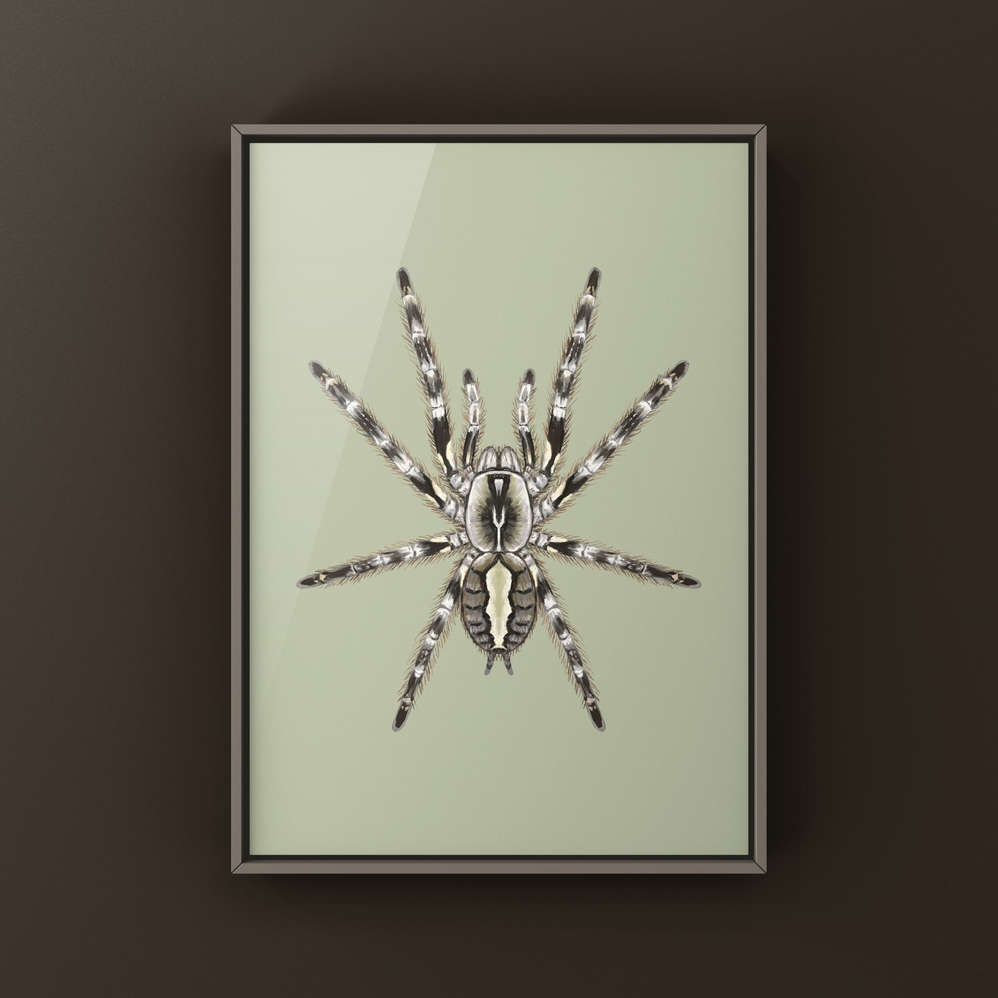 Detailed art print of Mysore Ornamental Tarantula (Poecilotheria striata) showcasing the intricate details of this striking spider.