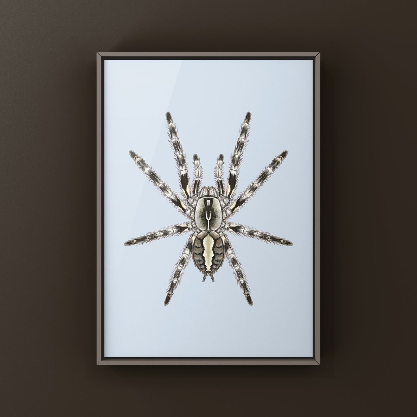 Mysore Ornamental Tarantula (Poecilotheria striata) art print featuring detailed illustration of the colorful spider on paper.