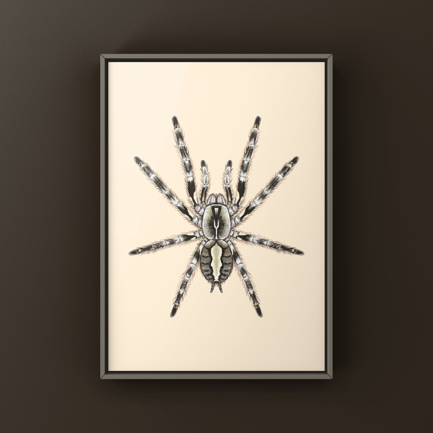 Mysore Ornamental Tarantula (Poecilotheria striata) art print showing detailed depiction of the colorful spider on textured paper
