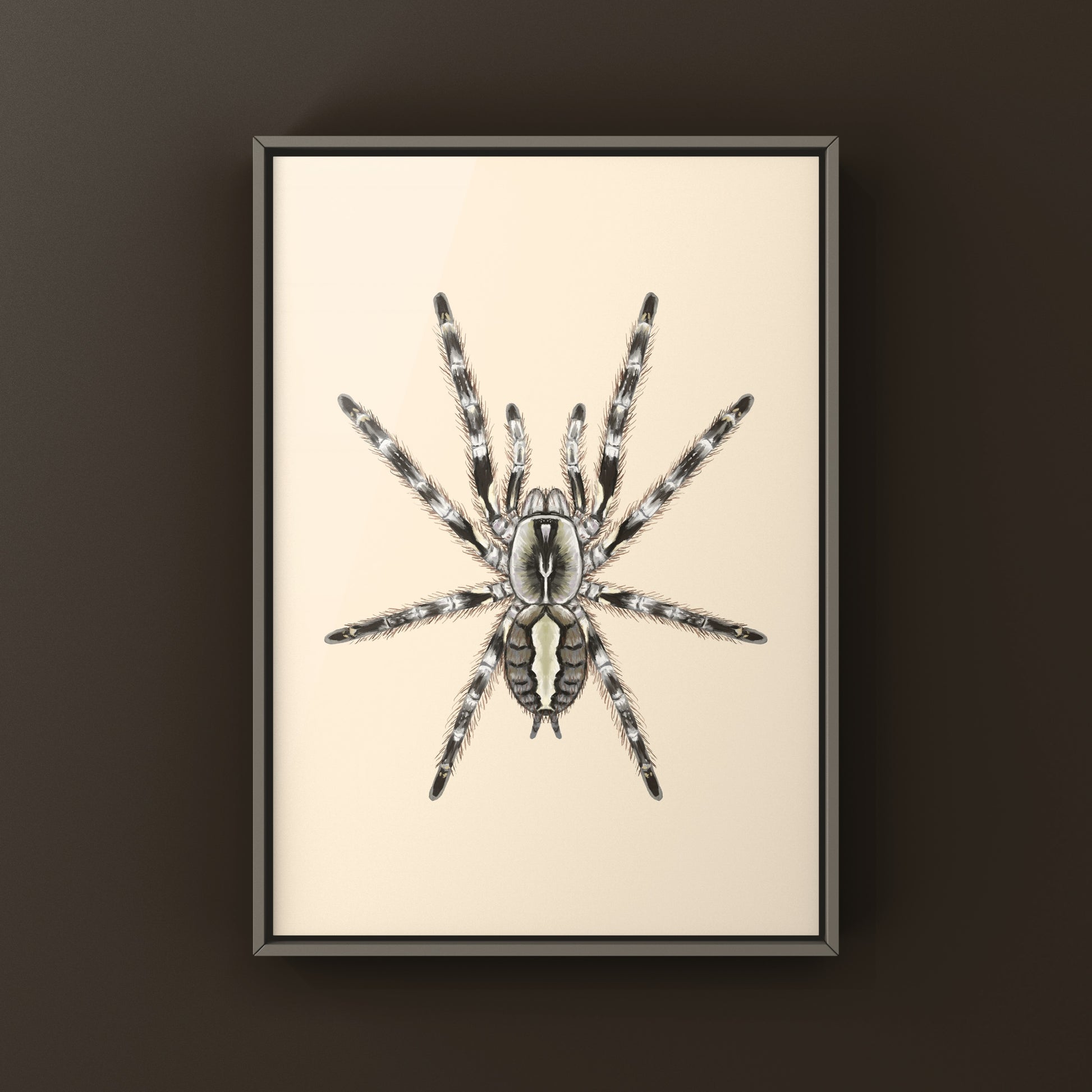 Mysore Ornamental Tarantula (Poecilotheria striata) art print showing detailed depiction of the colorful spider on textured paper