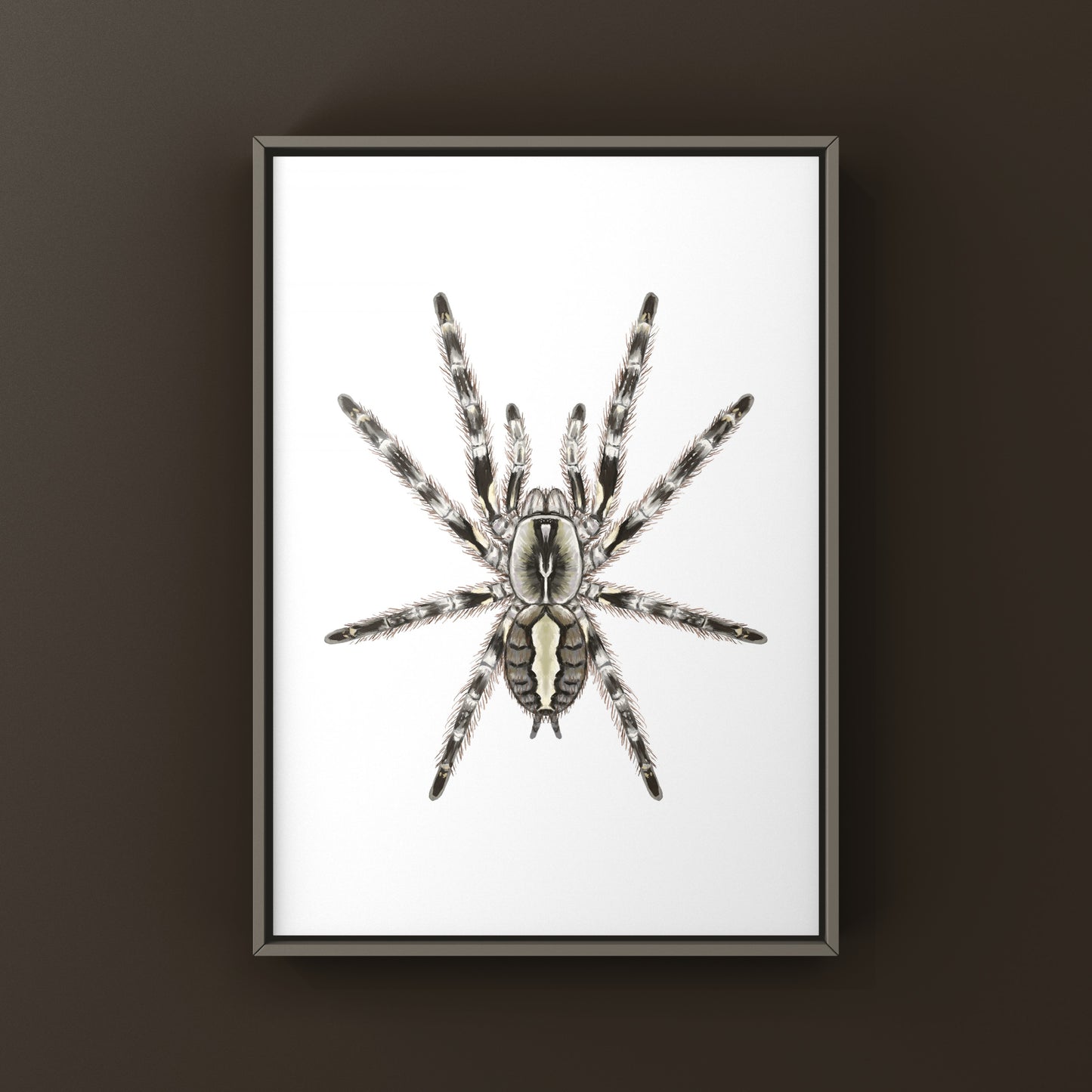 Art print of a Mysore Ornamental Tarantula (Poecilotheria striata) showcasing detailed, vibrant spider artwork by The Silk Ranch.