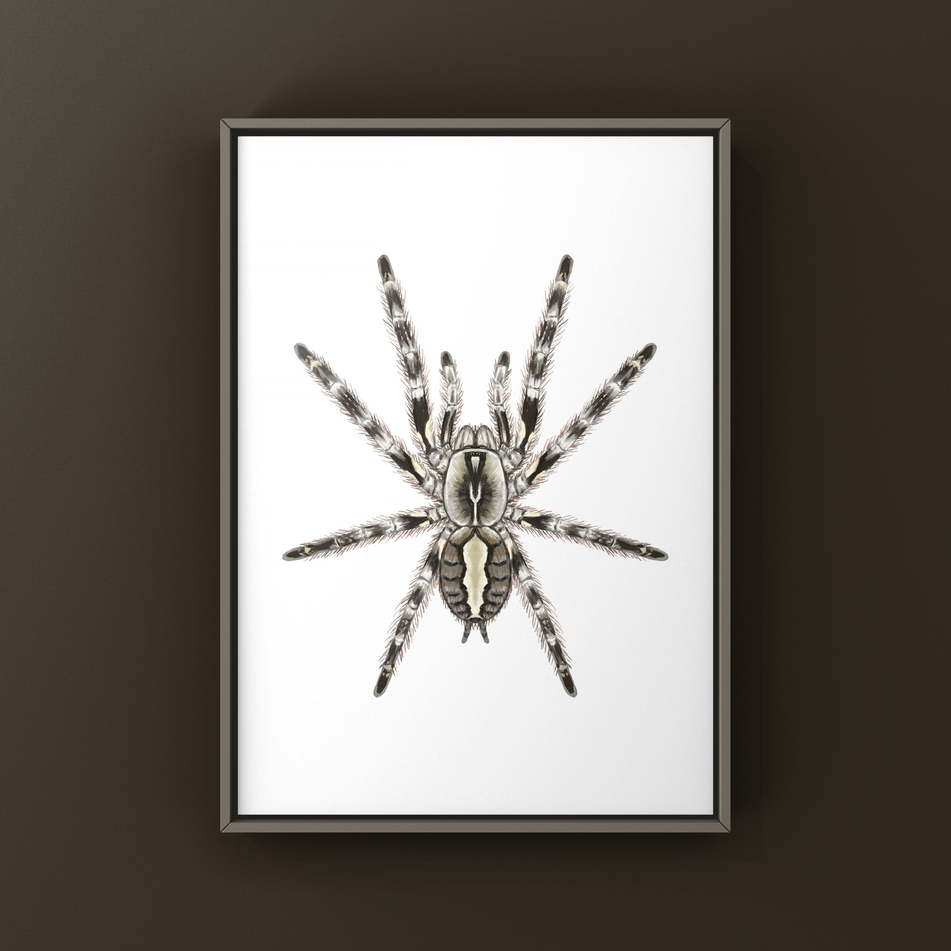 Art print of a Mysore Ornamental Tarantula (Poecilotheria striata) showcasing detailed, vibrant spider artwork by The Silk Ranch.