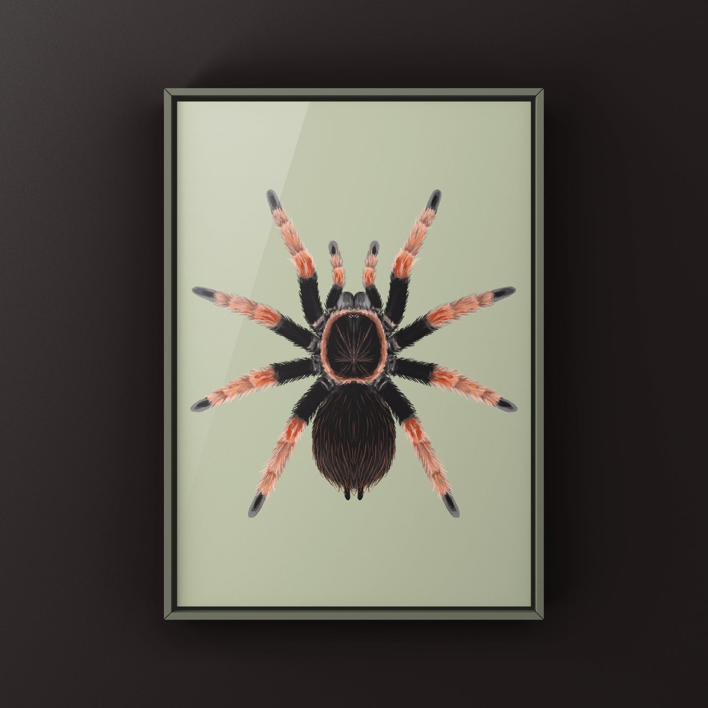 Colorful art print of a Mexican Orange Beauty Tarantula (Brachypelma baumgarteni) showcasing detailed spider artwork.