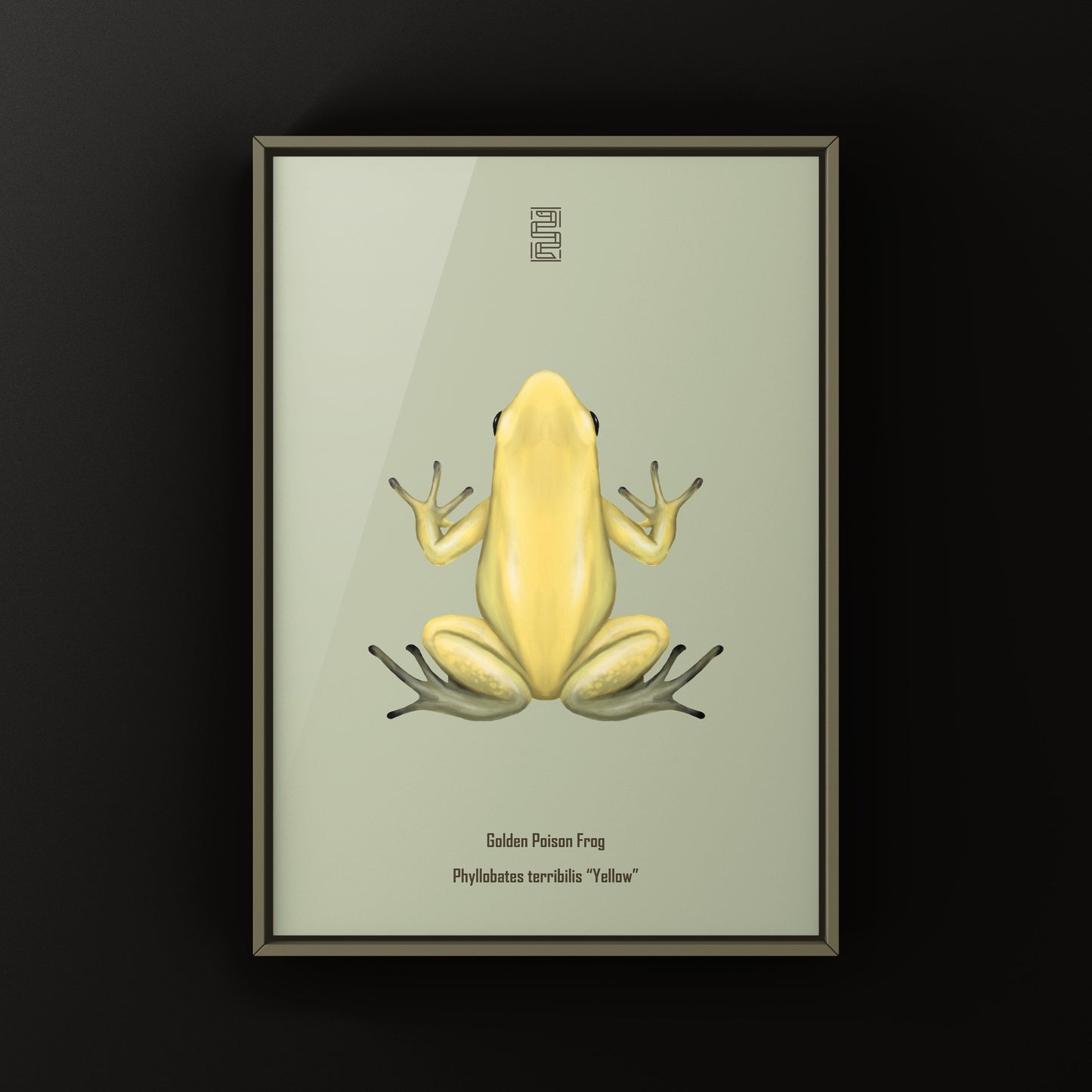 Golden Poison Frog (Phyllobates terribilis "Yellow") Art Print from The Silk Ranch