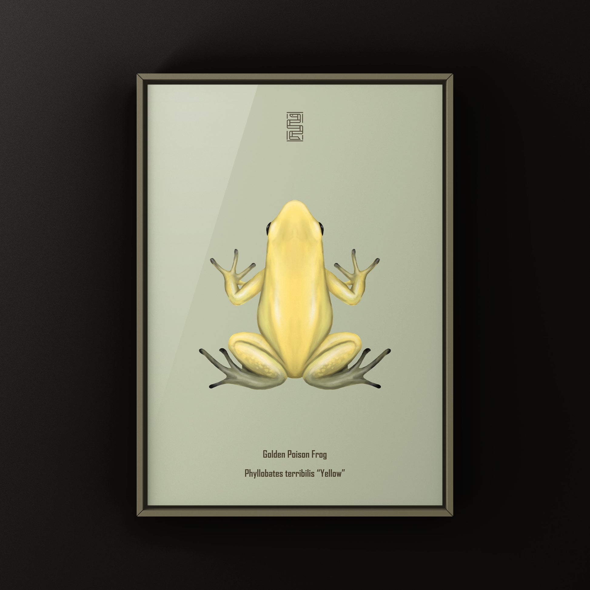 Golden Poison Frog (Phyllobates terribilis "Yellow") Art Print from The Silk Ranch