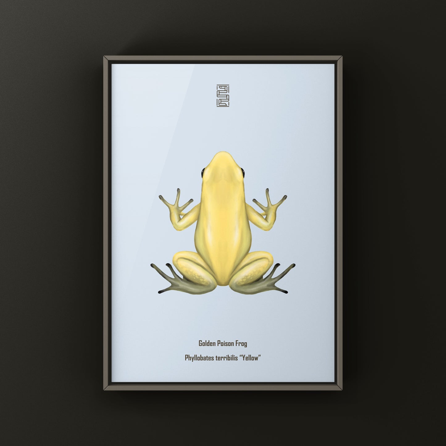 Golden Poison Frog (Phyllobates terribilis "Yellow") Art Print from The Silk Ranch