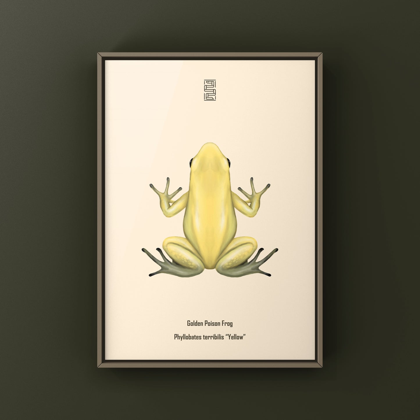 Golden Poison Frog (Phyllobates terribilis "Yellow") Art Print from The Silk Ranch