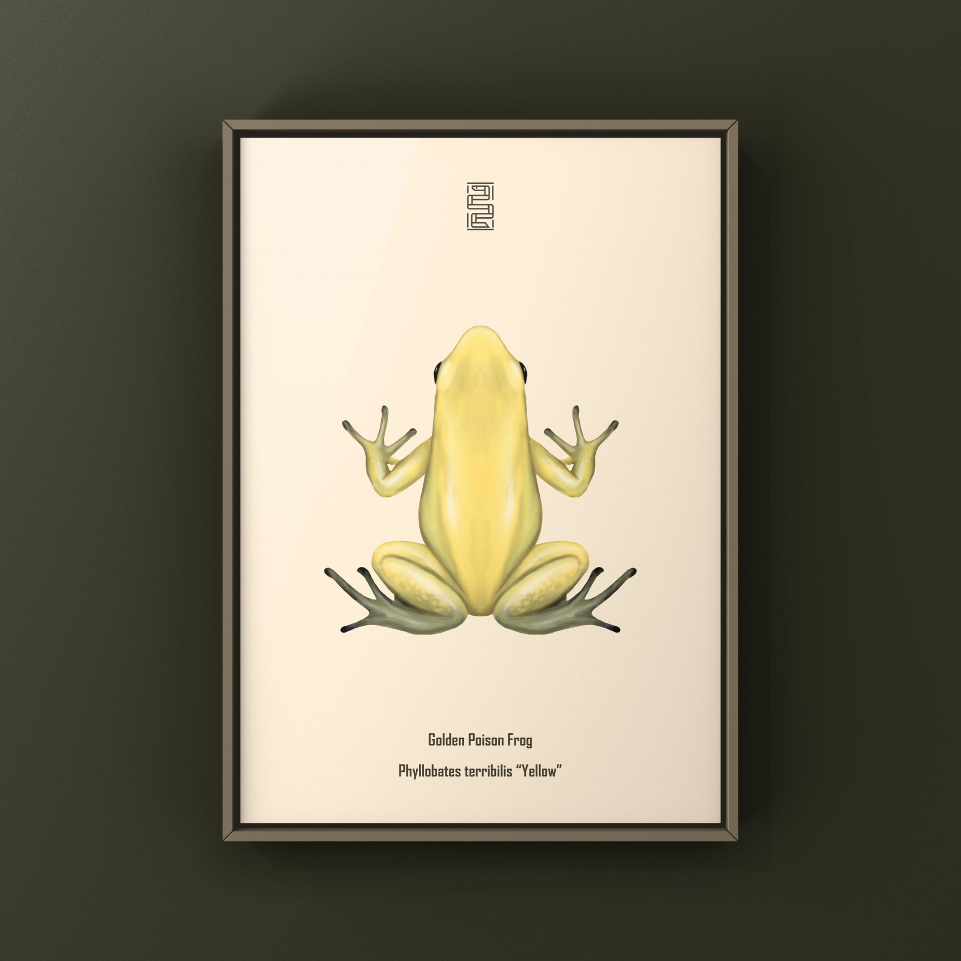 Golden Poison Frog (Phyllobates terribilis "Yellow") Art Print from The Silk Ranch