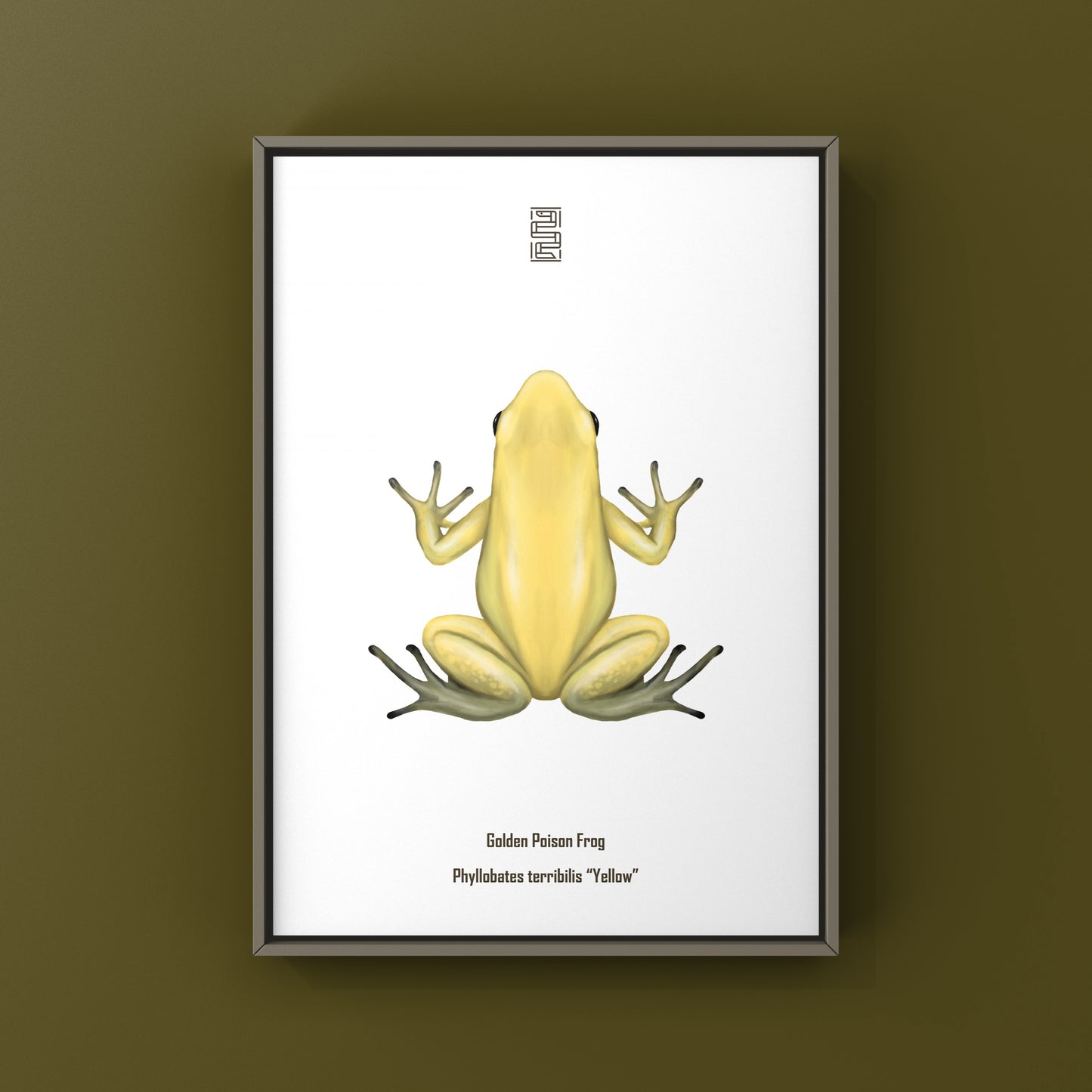 Golden Poison Frog (Phyllobates terribilis "Yellow") Art Print from The Silk Ranch