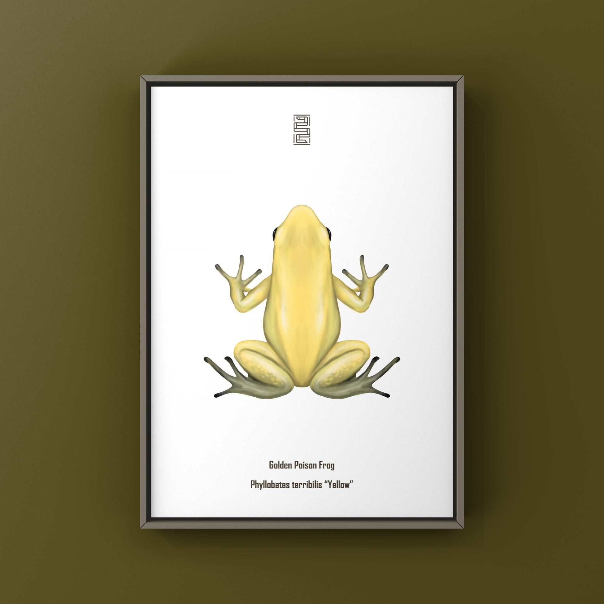 Golden Poison Frog (Phyllobates terribilis "Yellow") Art Print from The Silk Ranch