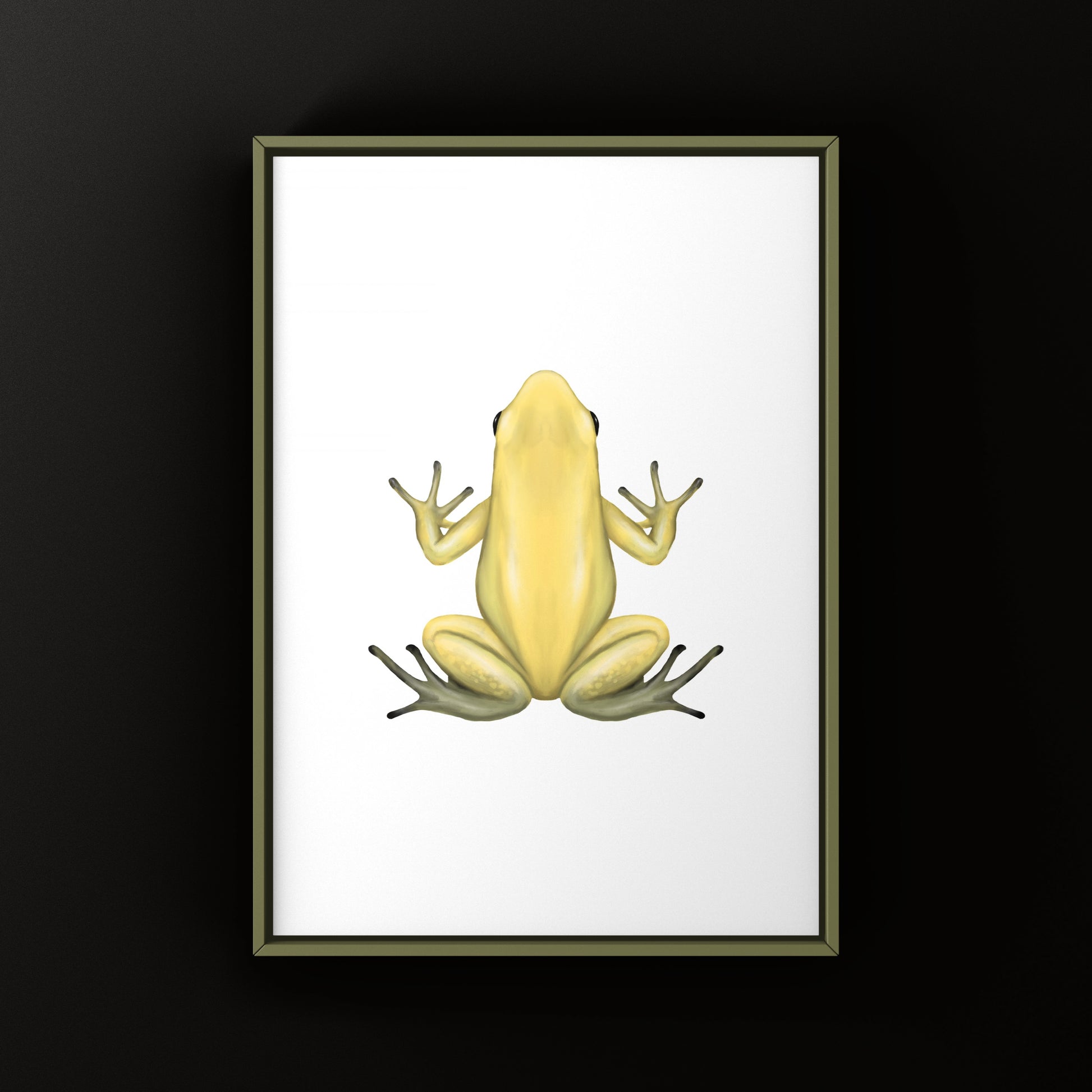 Golden Poison Frog (Phyllobates terribilis "Yellow") Art Print from The Silk Ranch