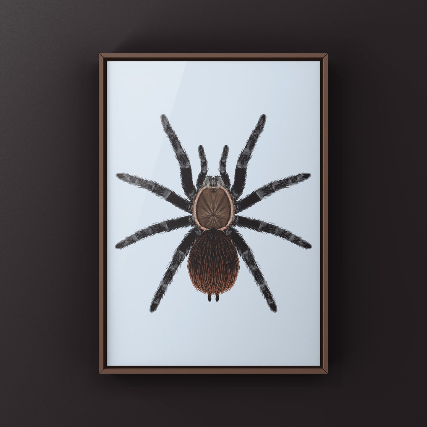 Colorful art print of Veracruz Red Rump Tarantula (Tliltocatl kahlenbergi) by The Silk Ranch, showcasing vibrant spider details on textured paper.