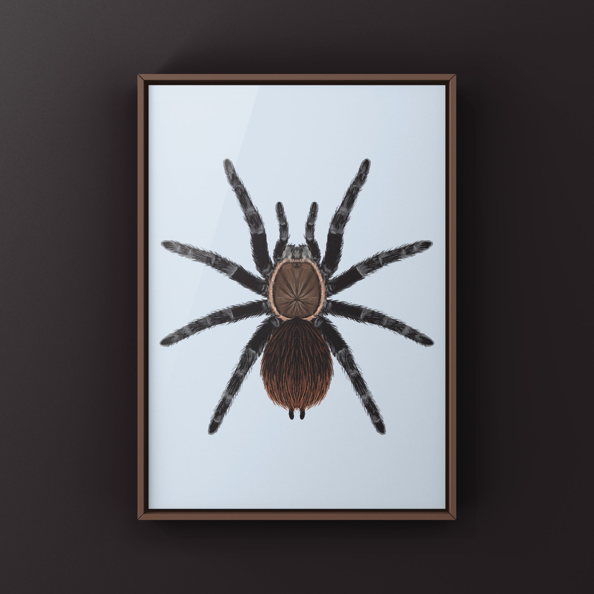 Colorful art print of Veracruz Red Rump Tarantula (Tliltocatl kahlenbergi) by The Silk Ranch, showcasing vibrant spider details on textured paper.