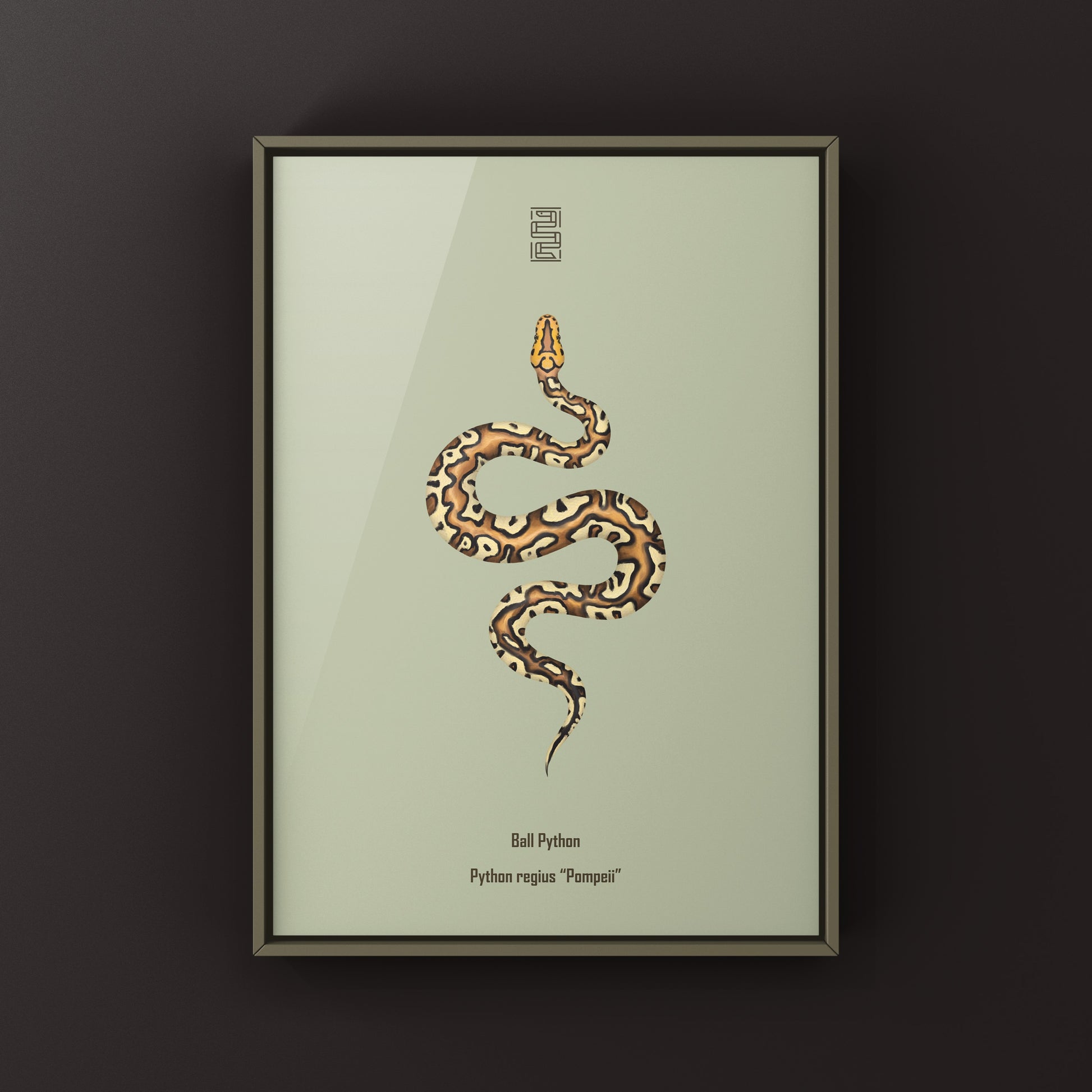 Pompeii Ball Python Art Print from The Silk Ranch