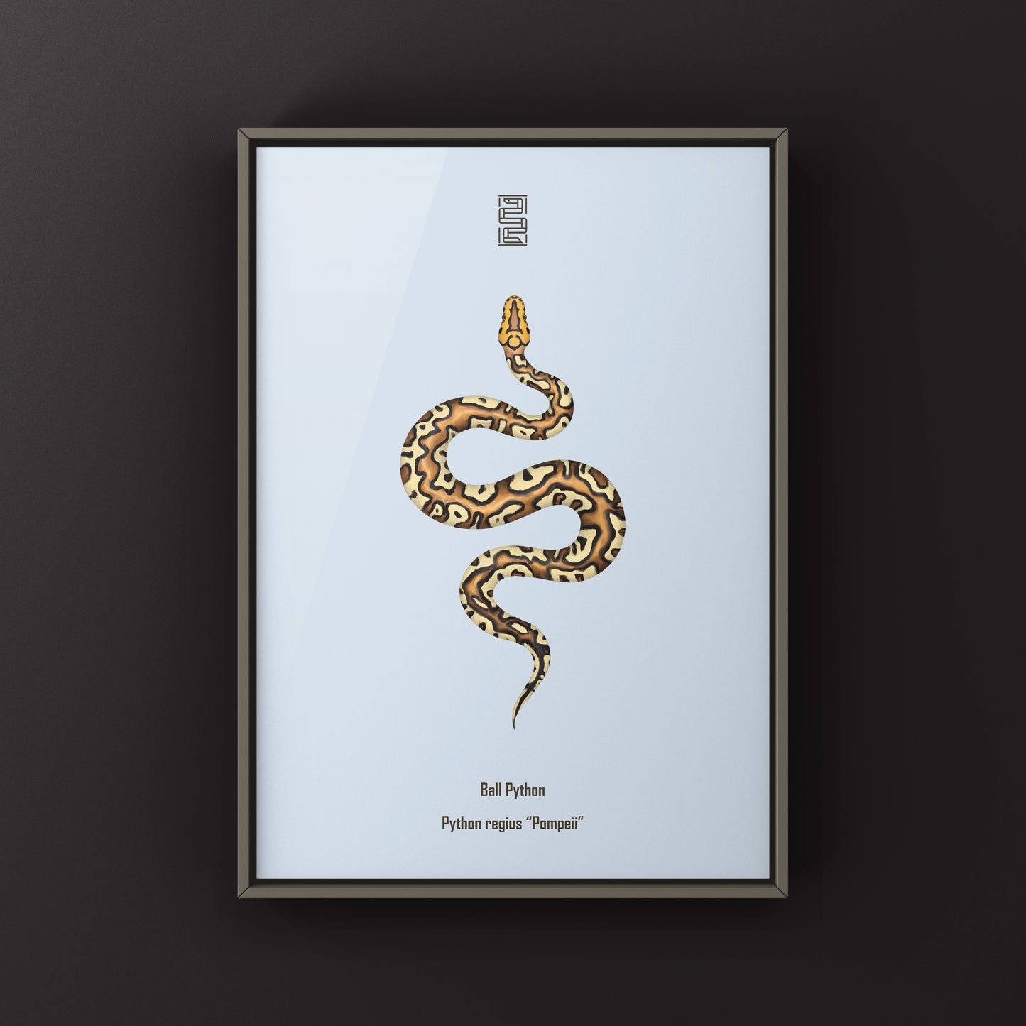 Pompeii Ball Python Art Print from The Silk Ranch
