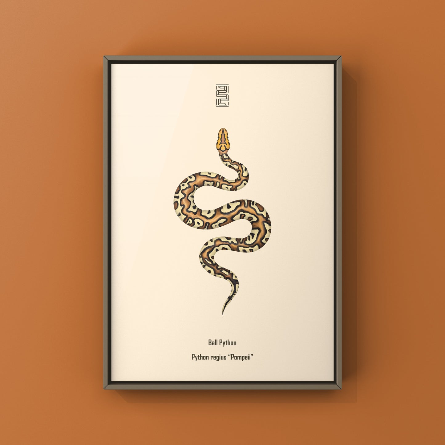 Pompeii Ball Python Art Print from The Silk Ranch