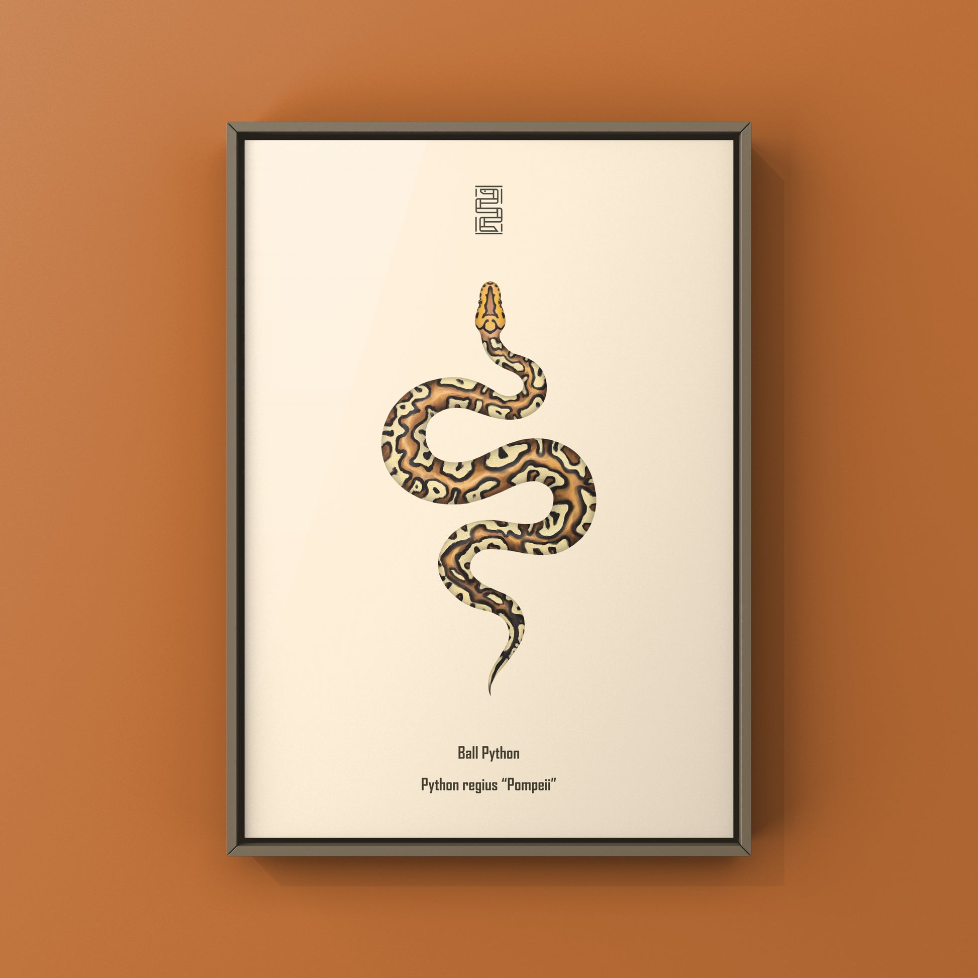 Pompeii Ball Python Art Print from The Silk Ranch