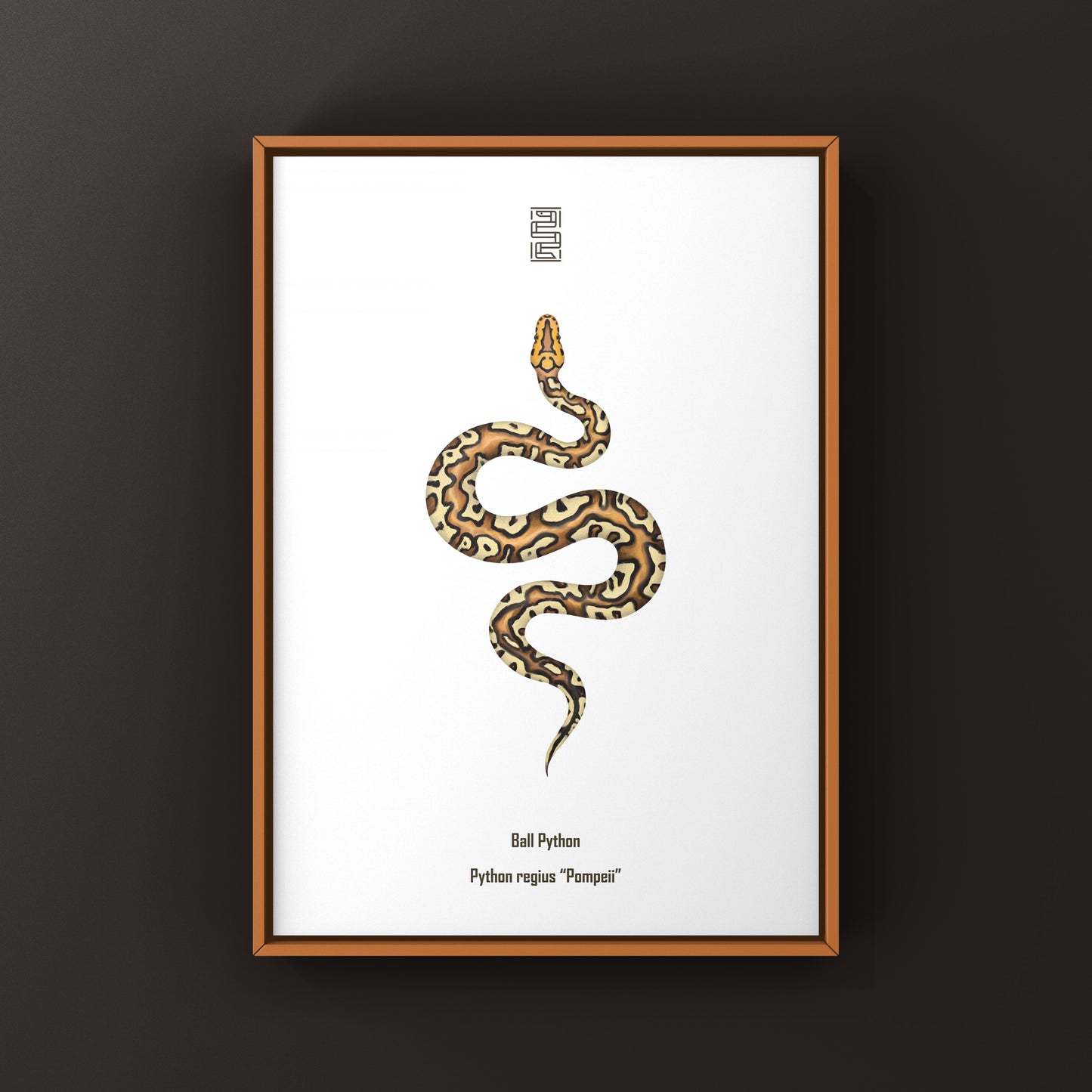 Pompeii Ball Python Art Print from The Silk Ranch