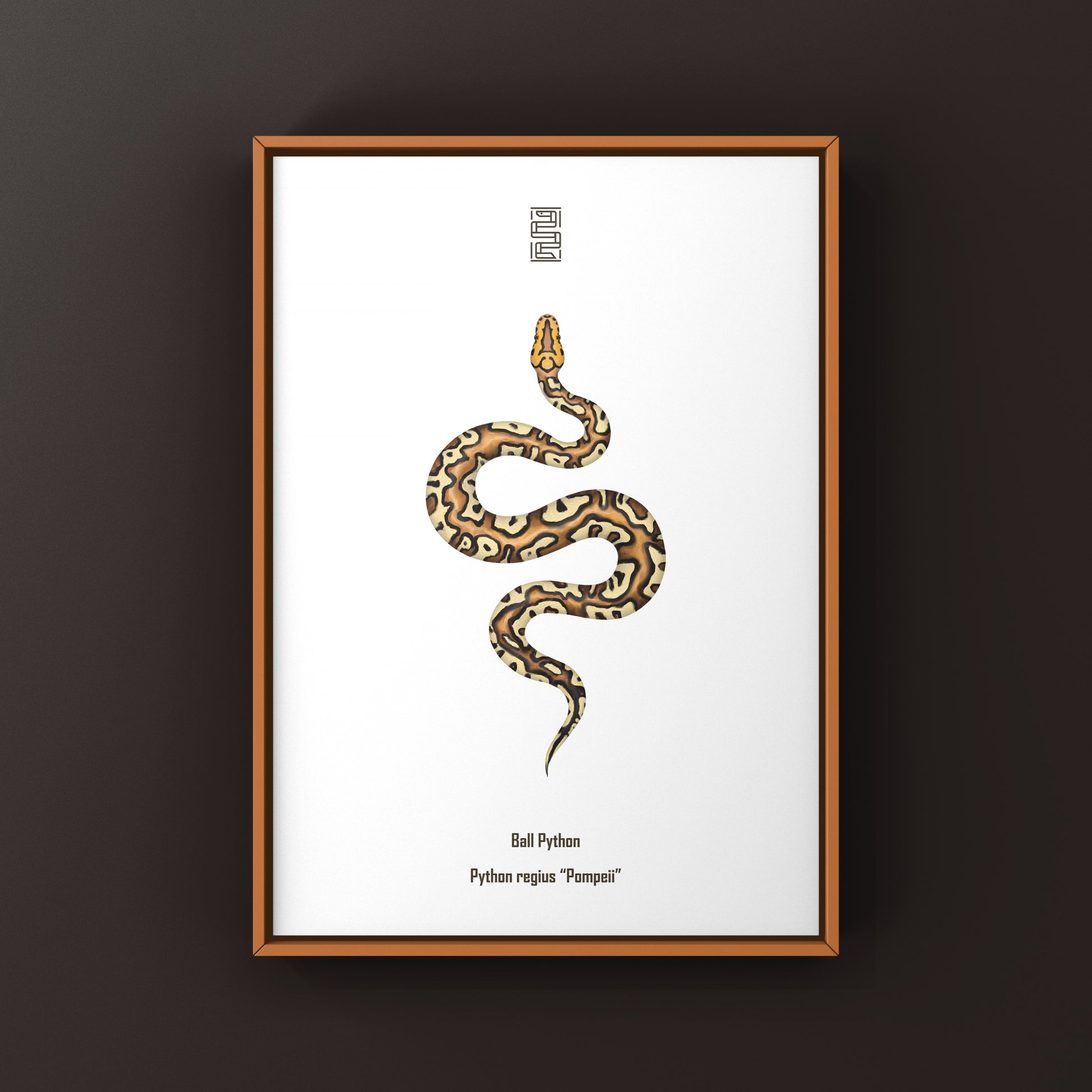 Pompeii Ball Python Art Print from The Silk Ranch
