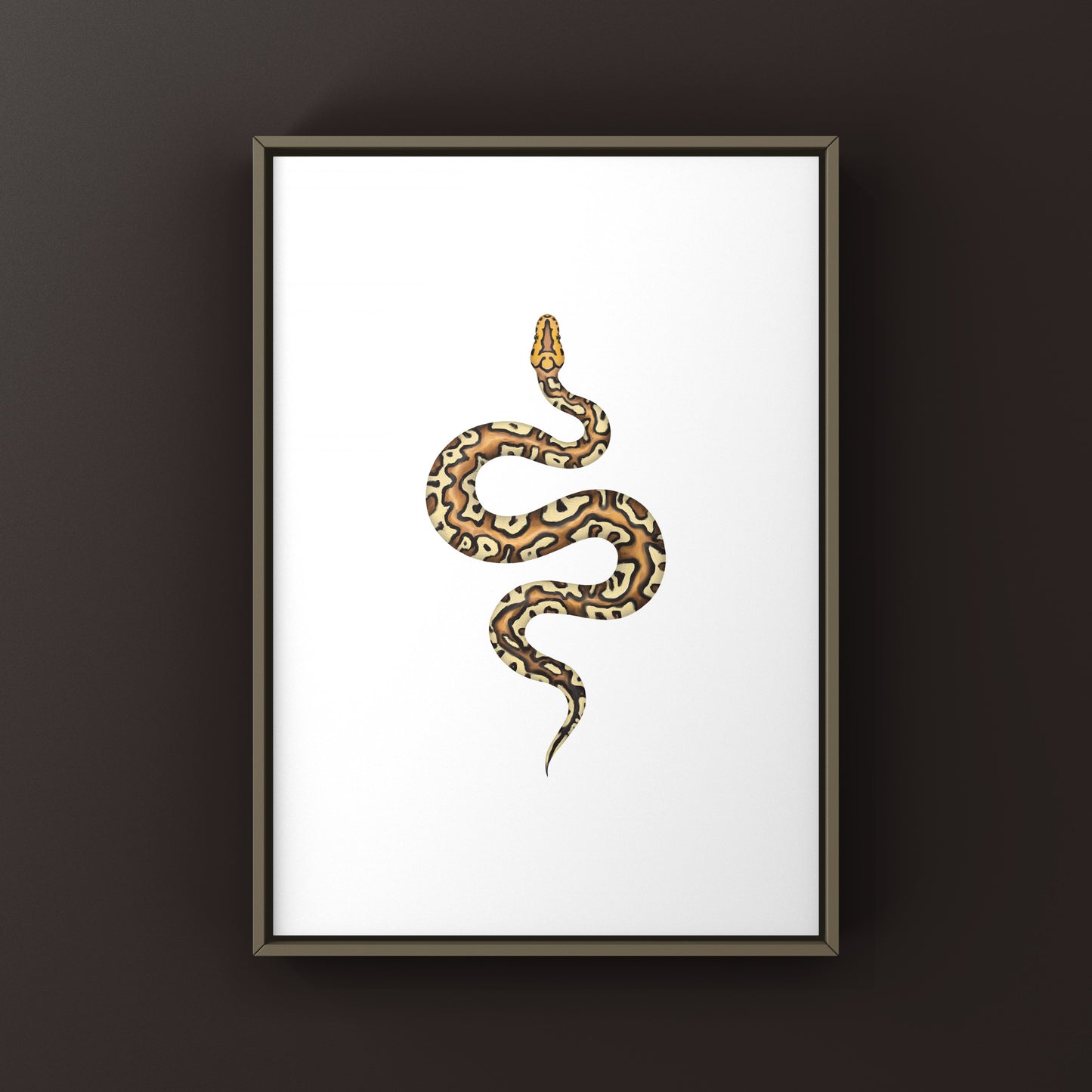 Pompeii Ball Python Art Print from The Silk Ranch