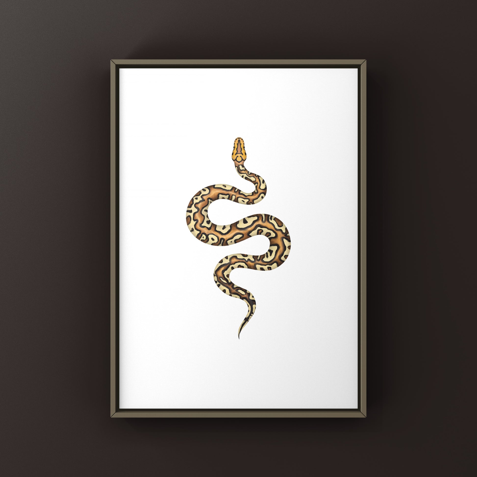 Pompeii Ball Python Art Print from The Silk Ranch