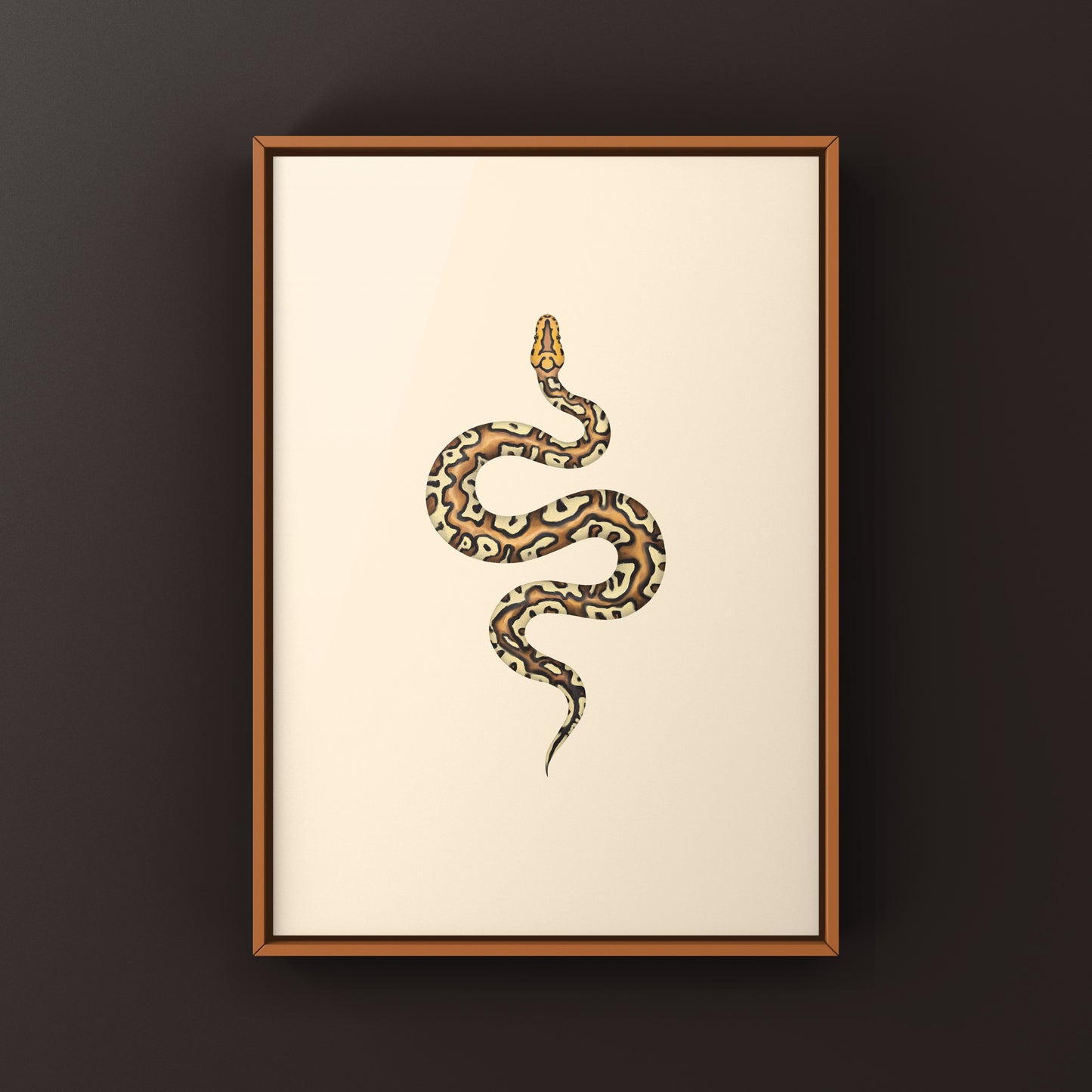 Pompeii Ball Python Art Print from The Silk Ranch