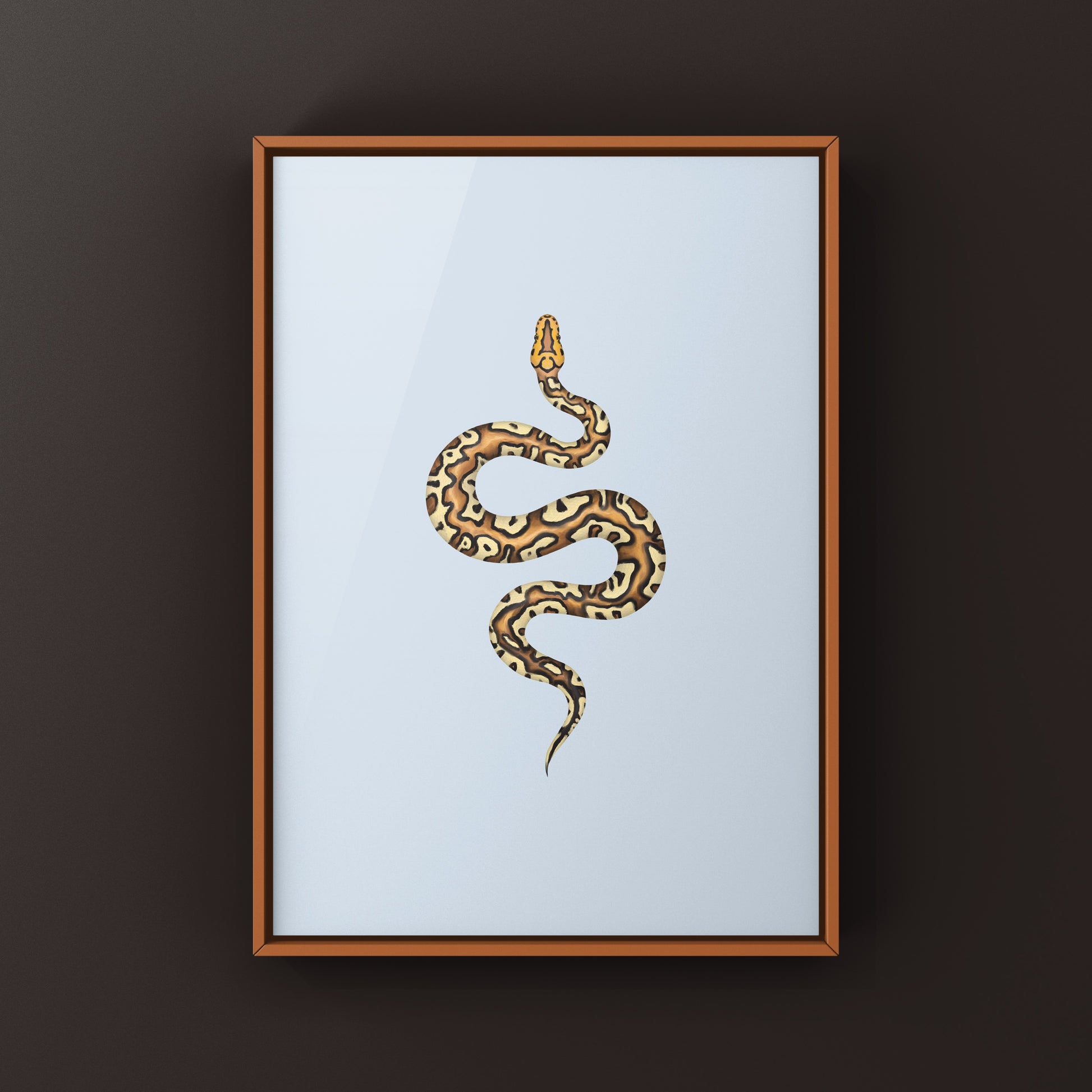 Pompeii Ball Python Art Print from The Silk Ranch
