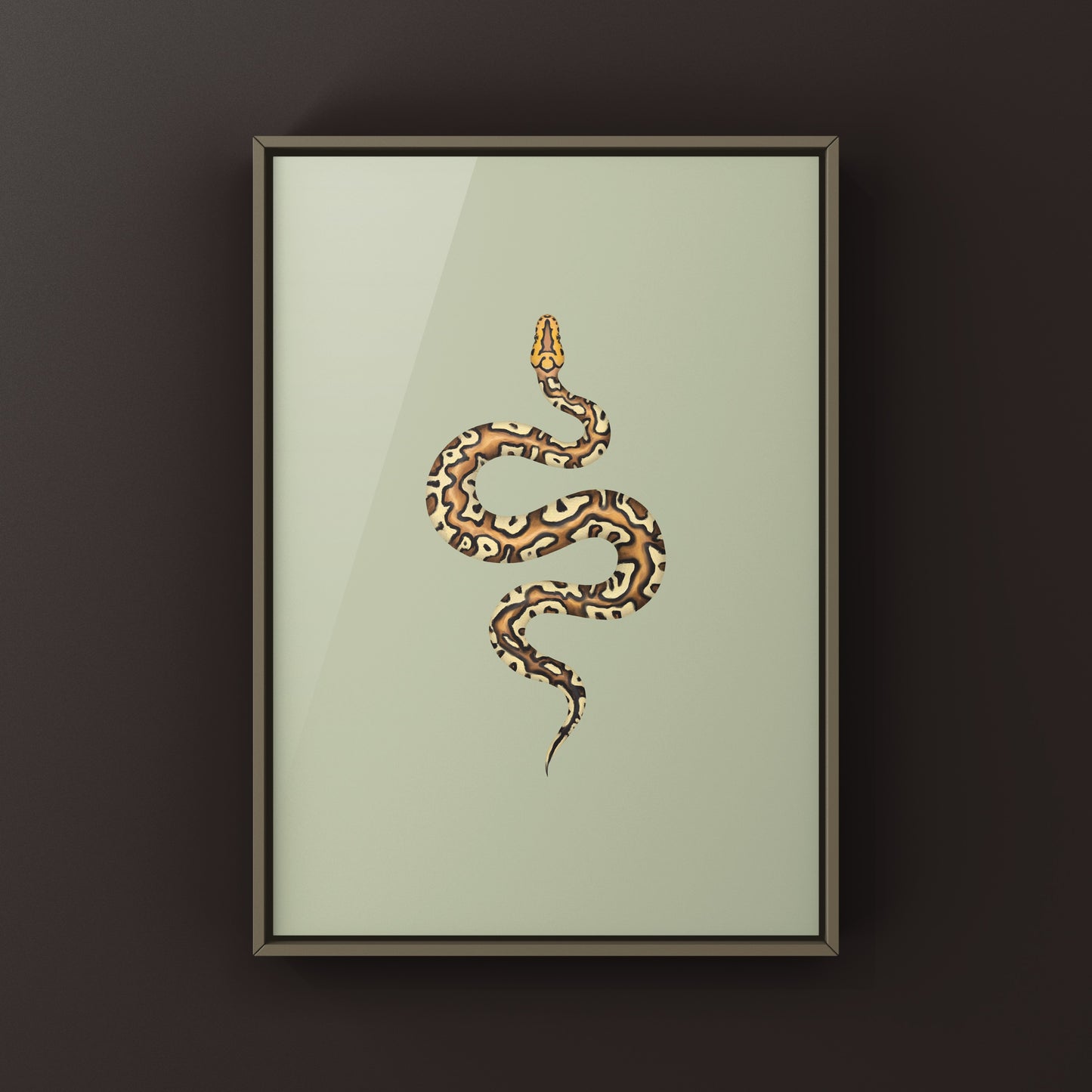 Pompeii Ball Python Art Print from The Silk Ranch