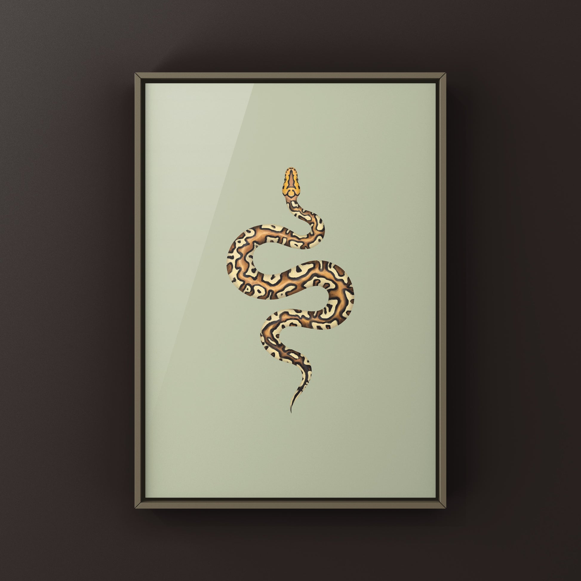 Pompeii Ball Python Art Print from The Silk Ranch