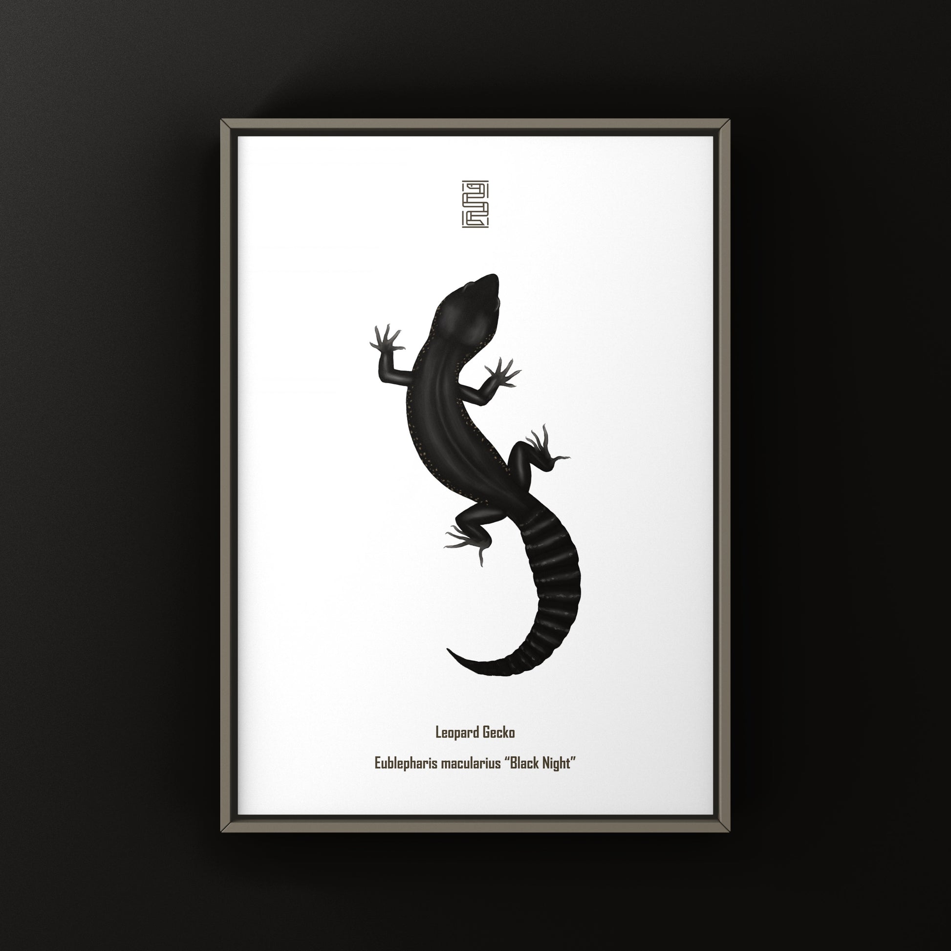Black night leopard gecko art print by The Silk Ranch featuring detailed, realistic reptile artwork on a dark background.