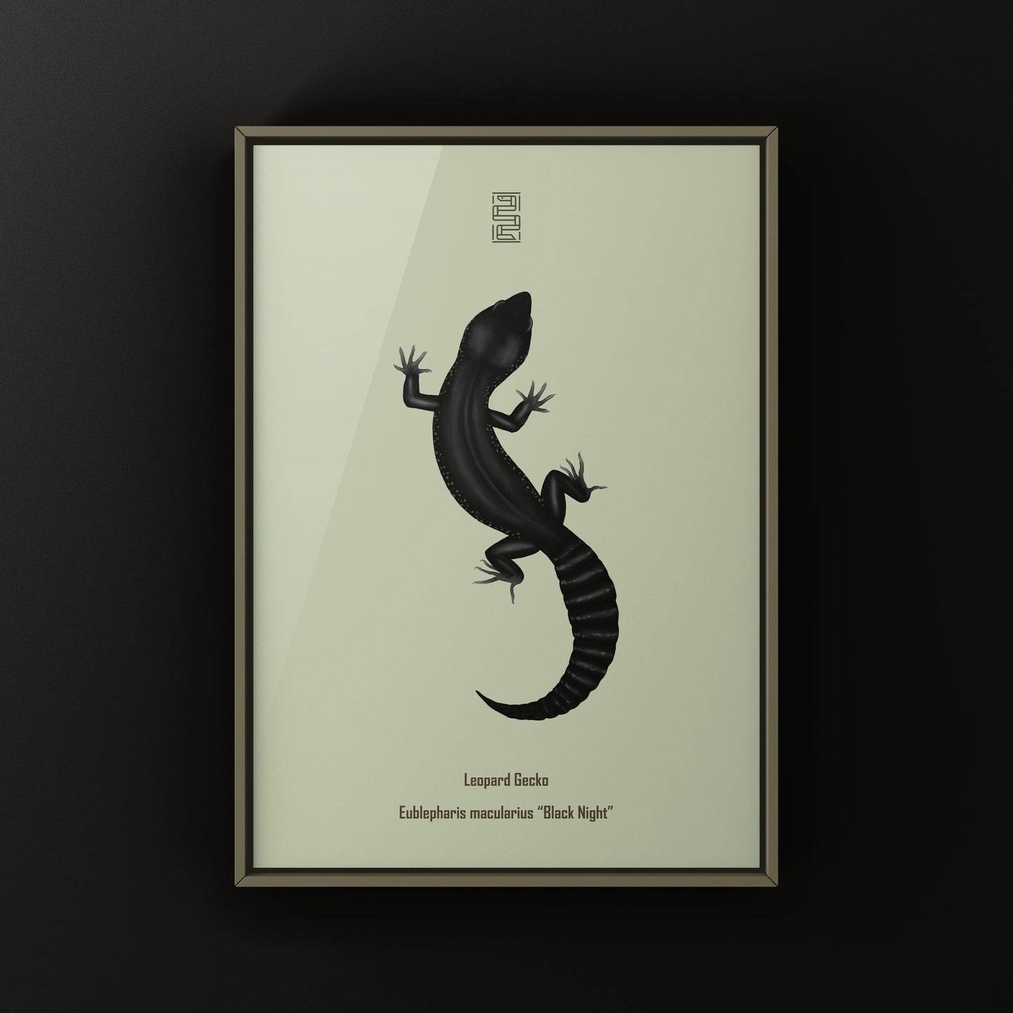 Black night leopard gecko art print by The Silk Ranch featuring detailed leopard gecko illustration on high-quality paper.