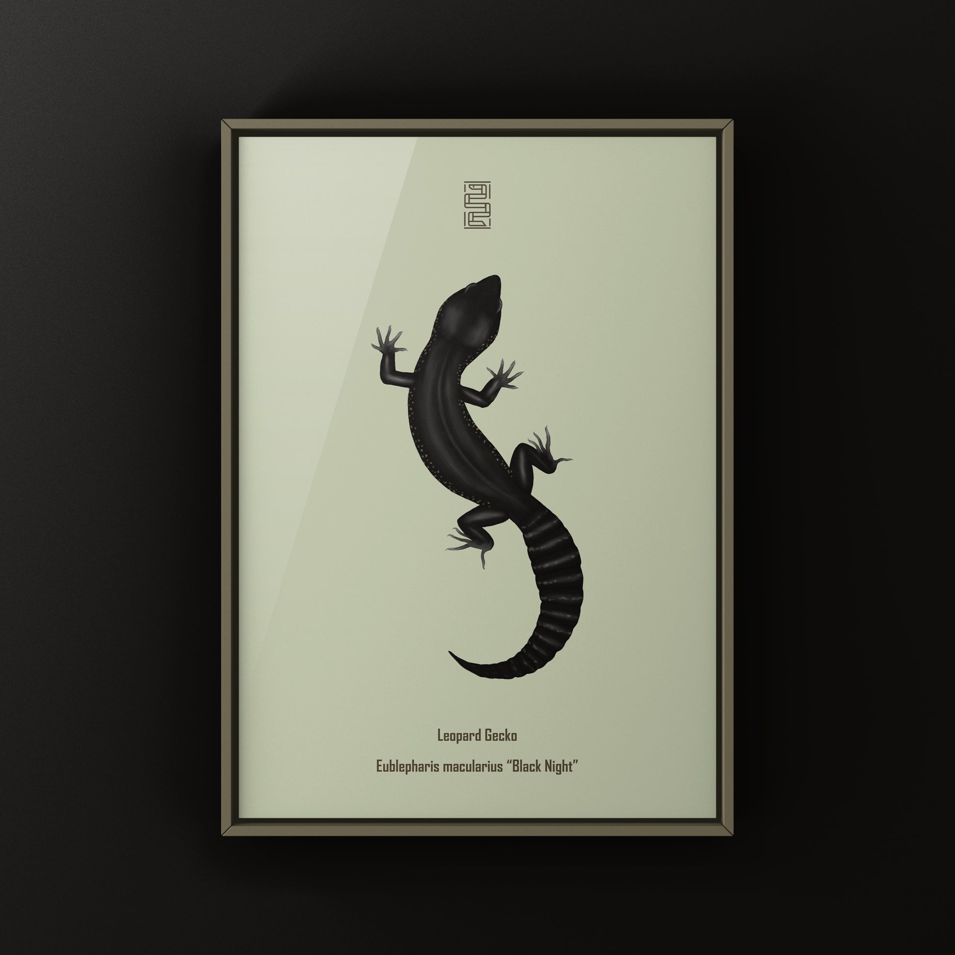 Black night leopard gecko art print by The Silk Ranch featuring detailed leopard gecko illustration on high-quality paper.